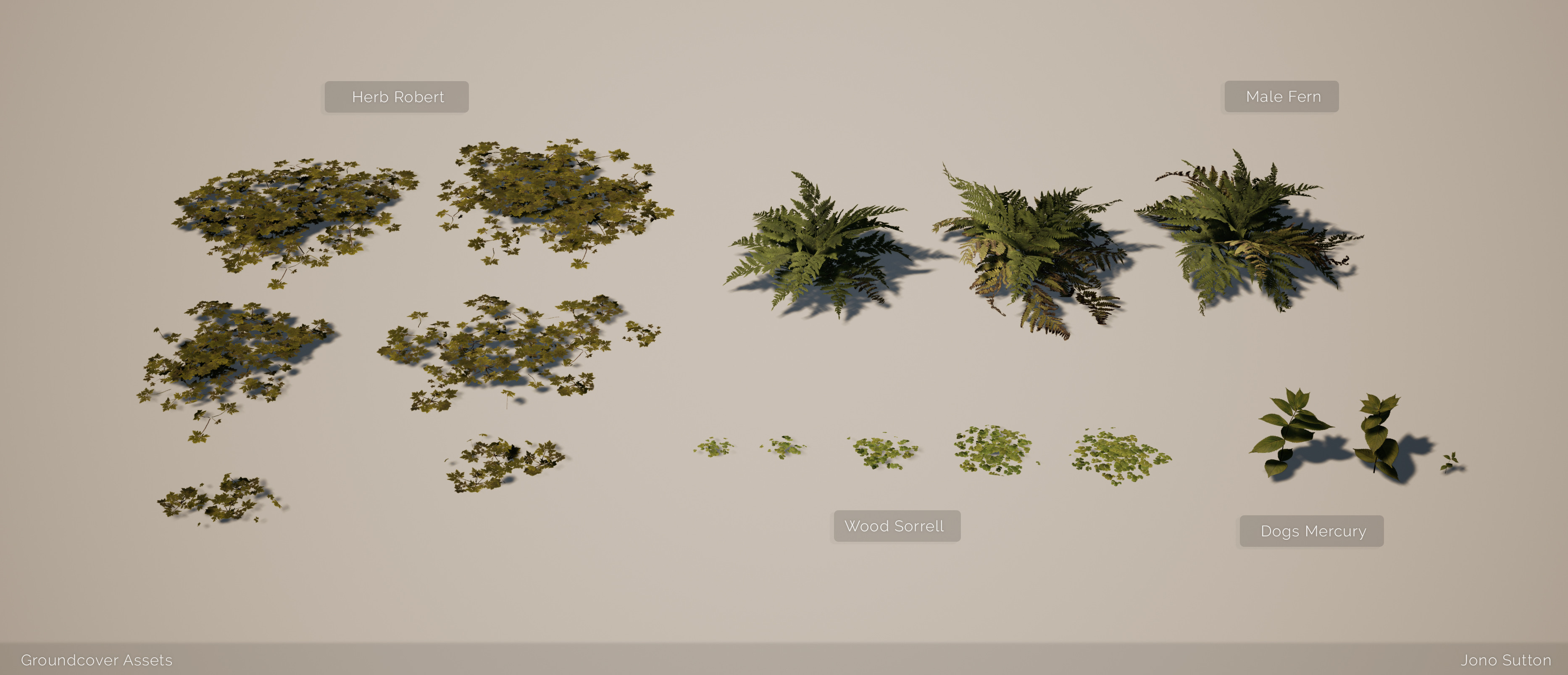 Using megascans atlases as a base, I created a set of optimised groundcover plants