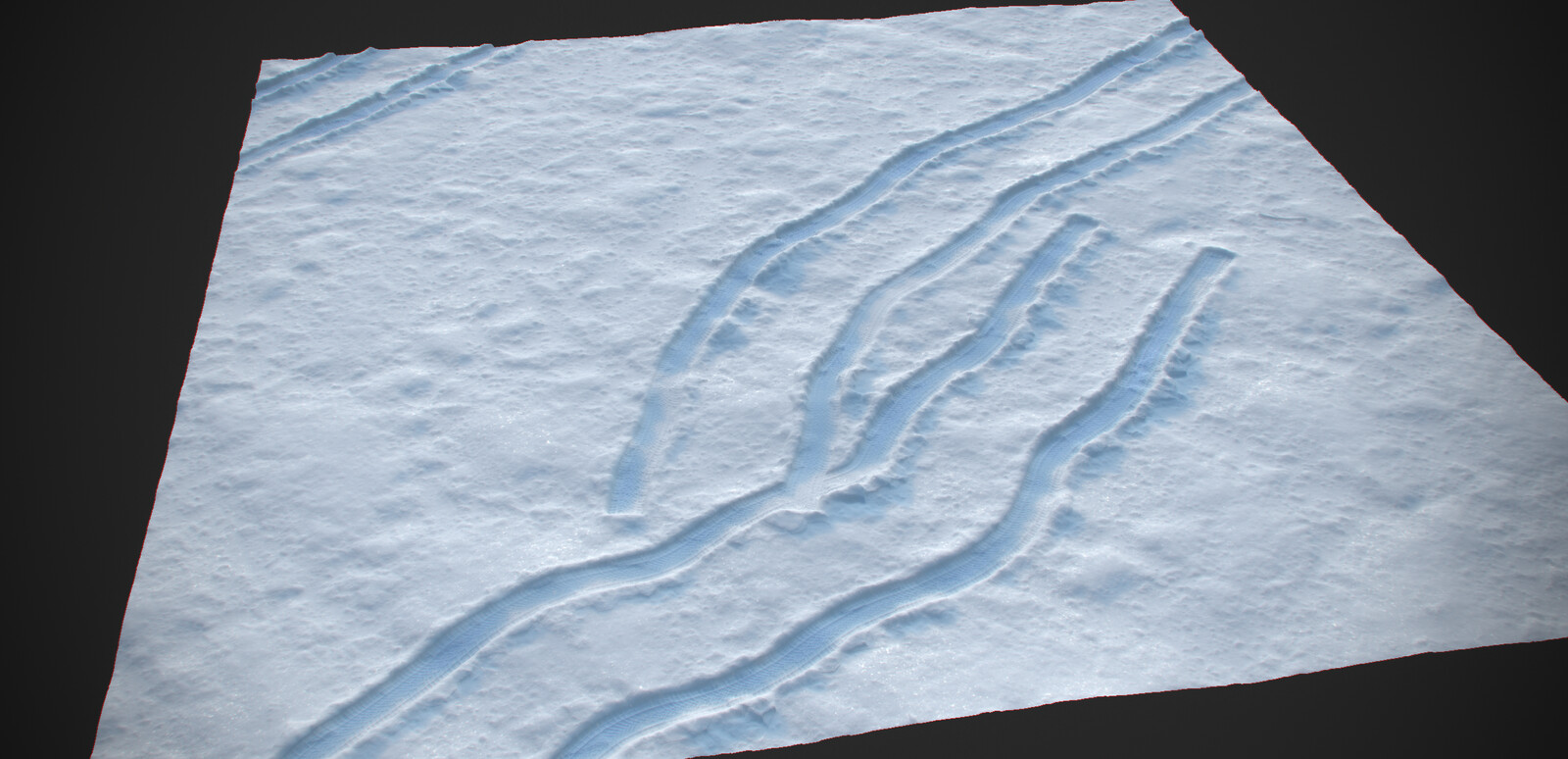Snow tracks