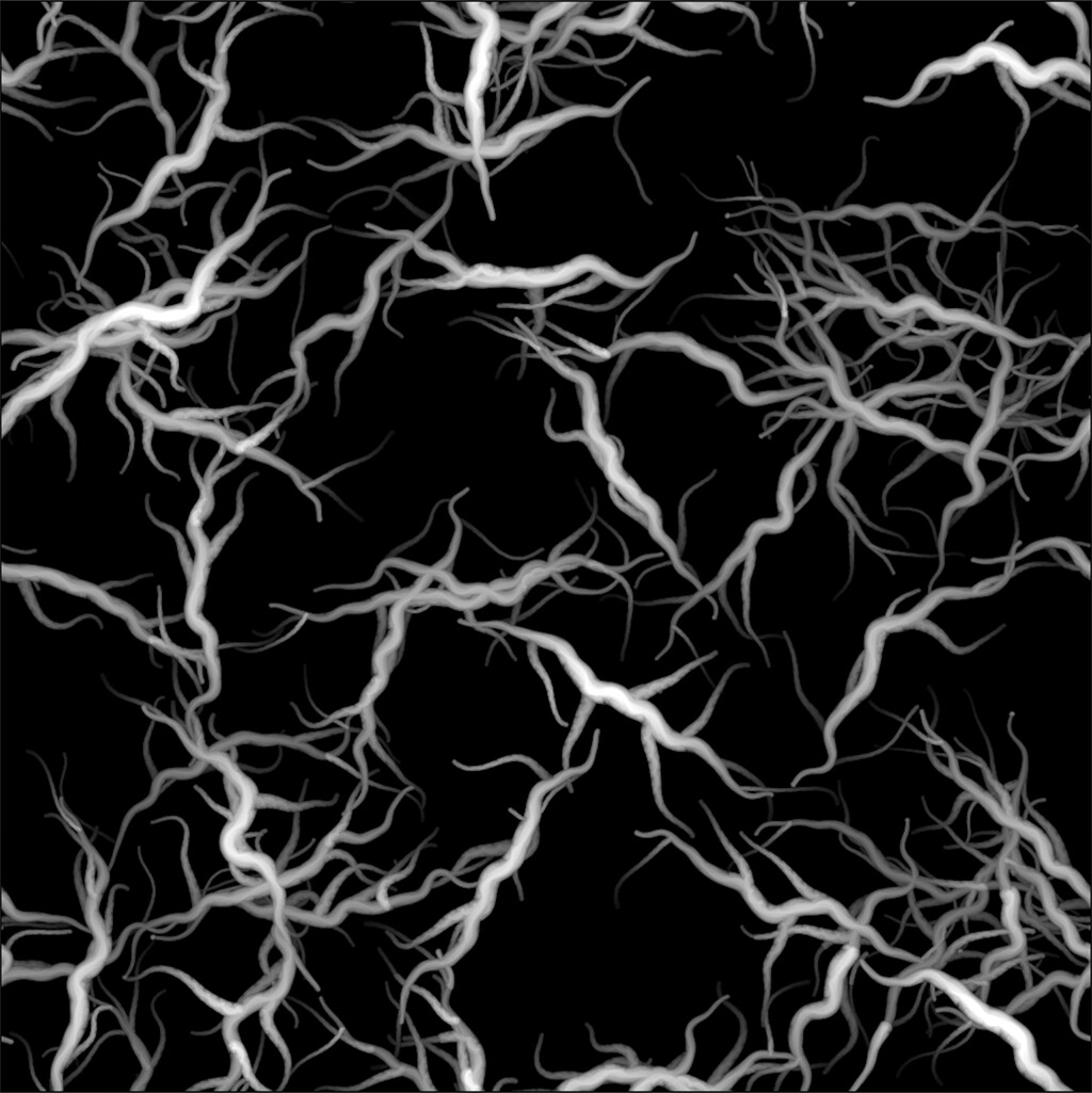 Tree roots