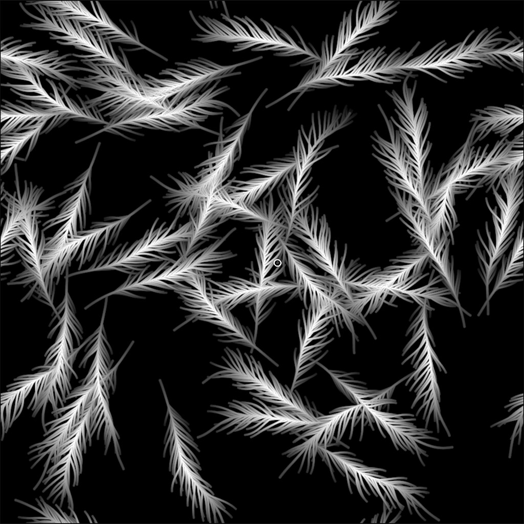 Pine needles