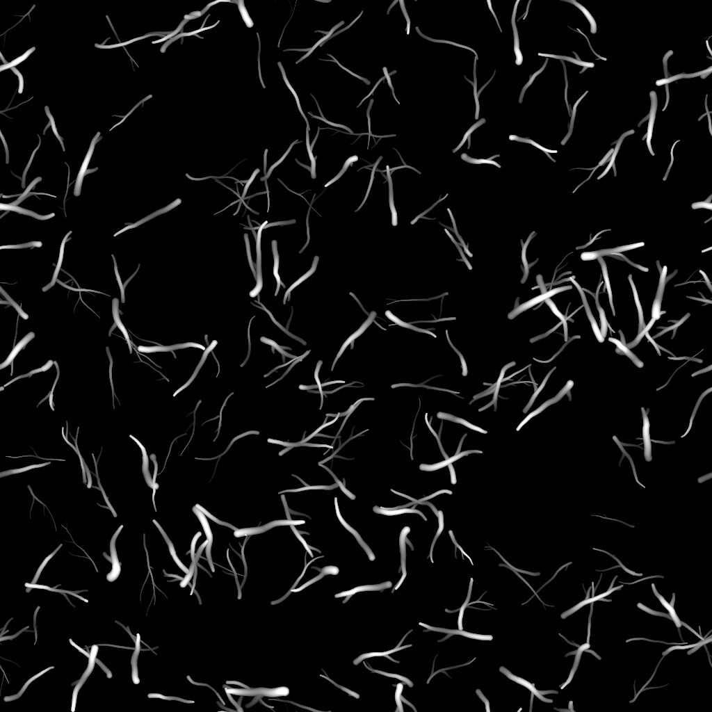 scattered sticks