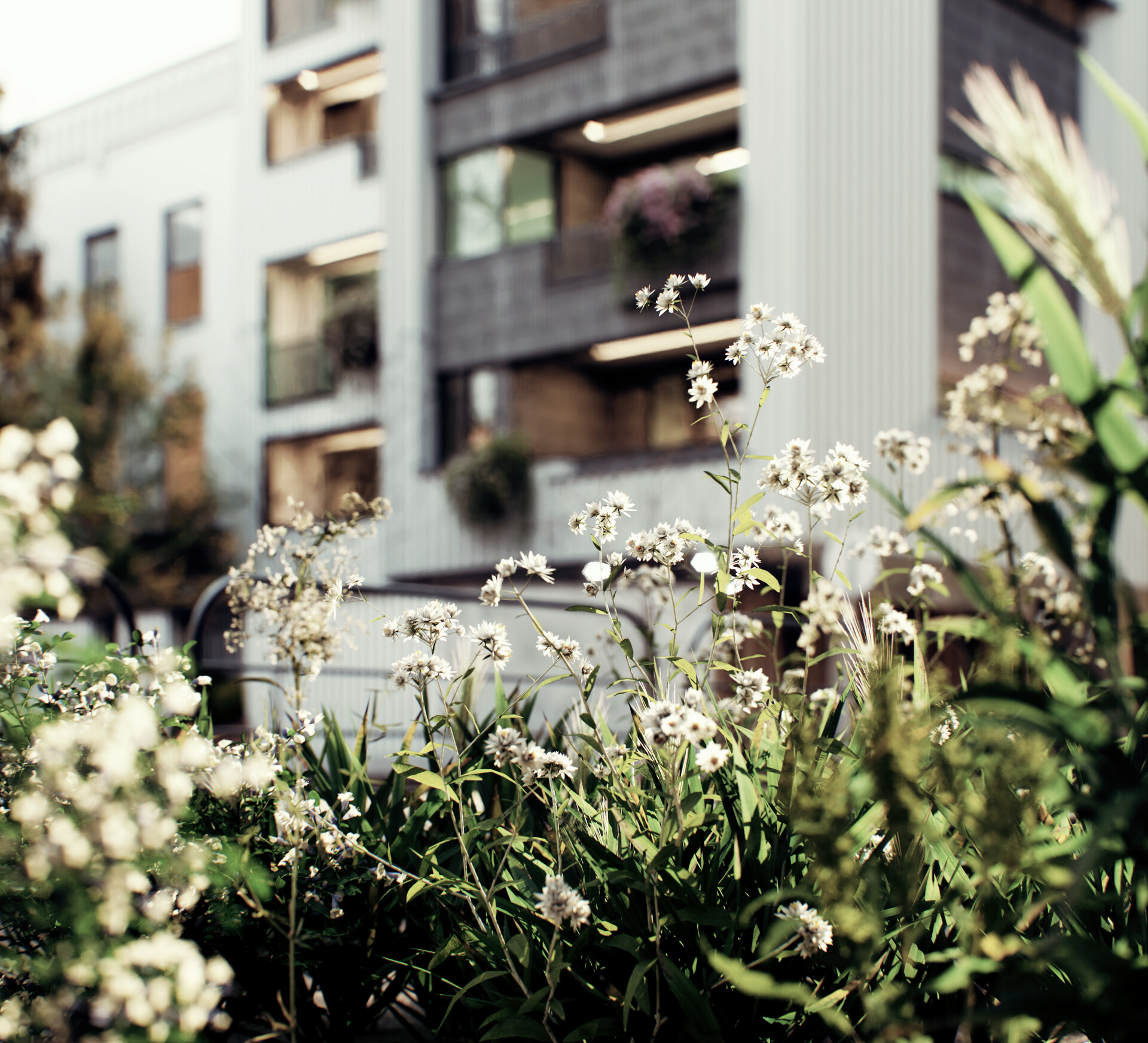 ArtStation "Sahar Residence" Exterior FullCGI animation