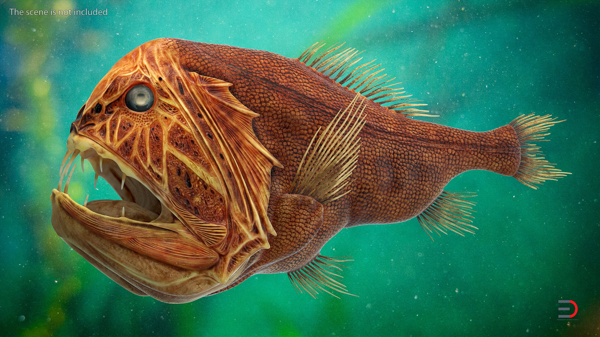 ArtStation 3D Common Fangtooth Fish