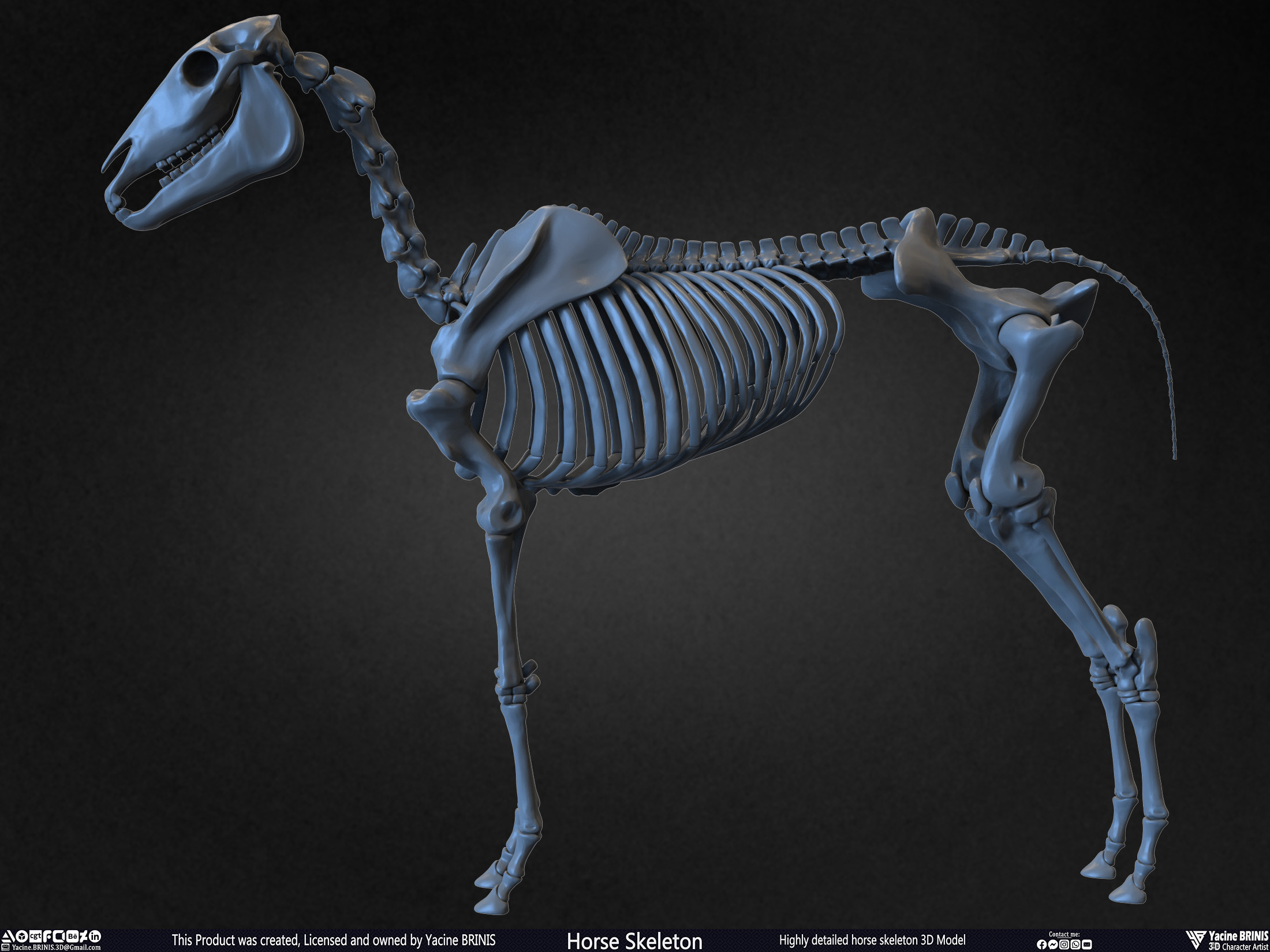 Highly Detailed Horse Skeleton 3D Model Sculpted by Yacine BRINIS Set 004