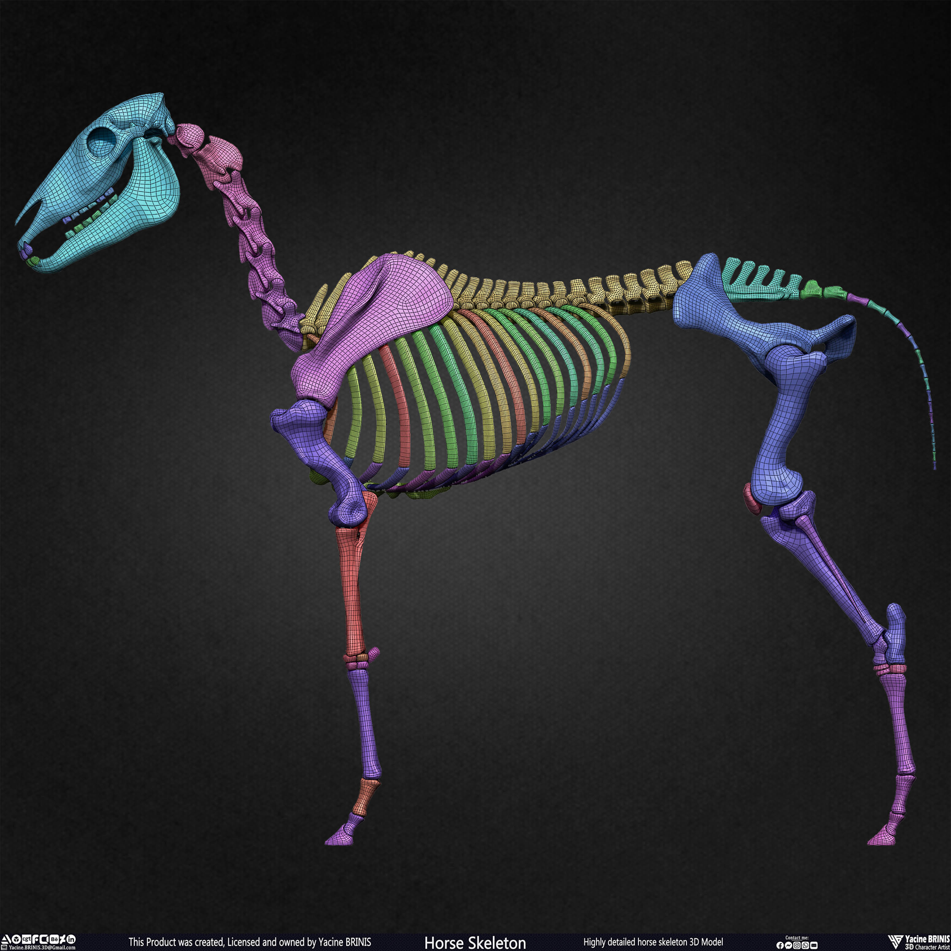 Highly Detailed Horse Skeleton 3D Model Sculpted by Yacine BRINIS Set 025