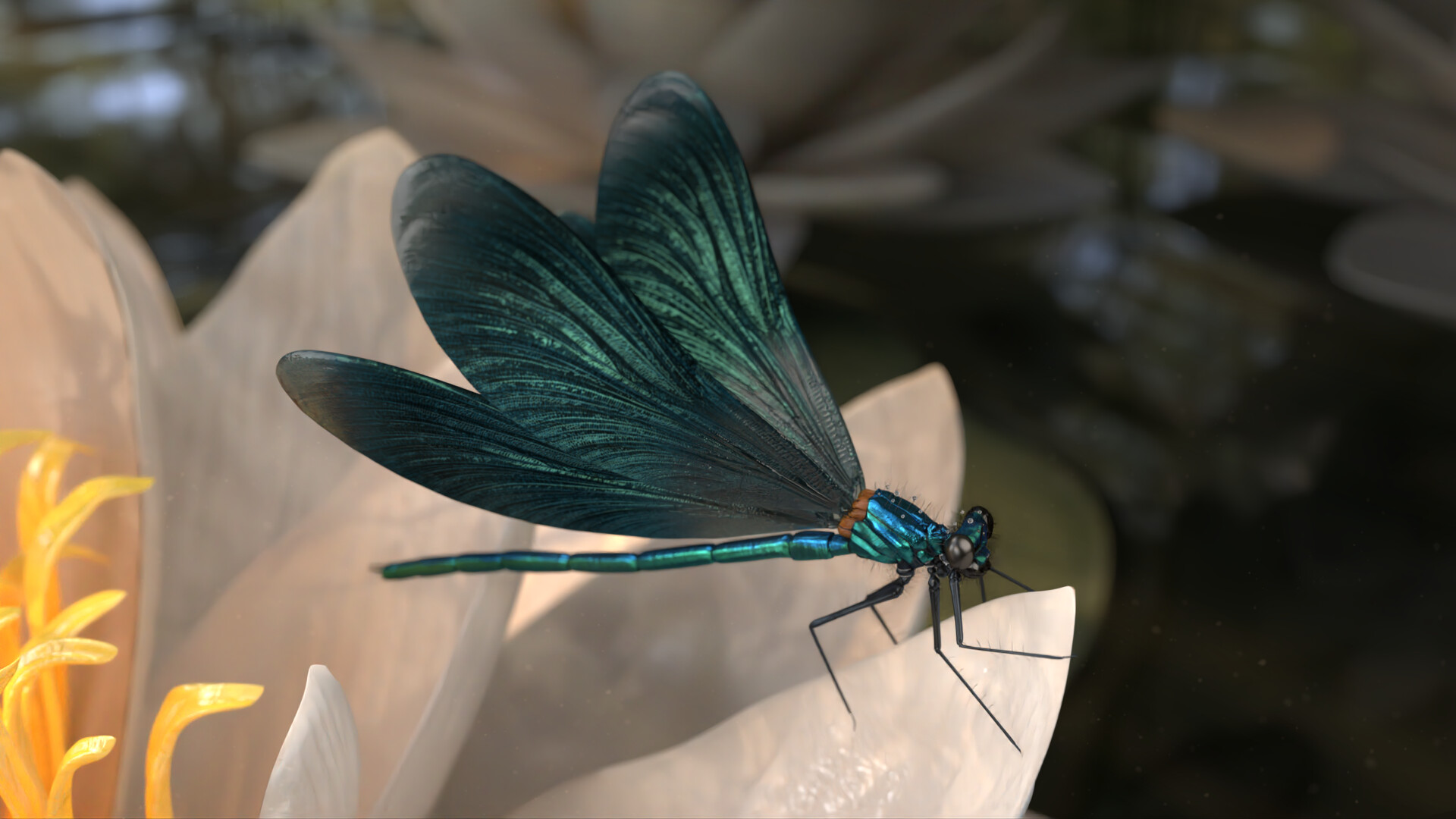 ArtStation - Calopteryx virgo