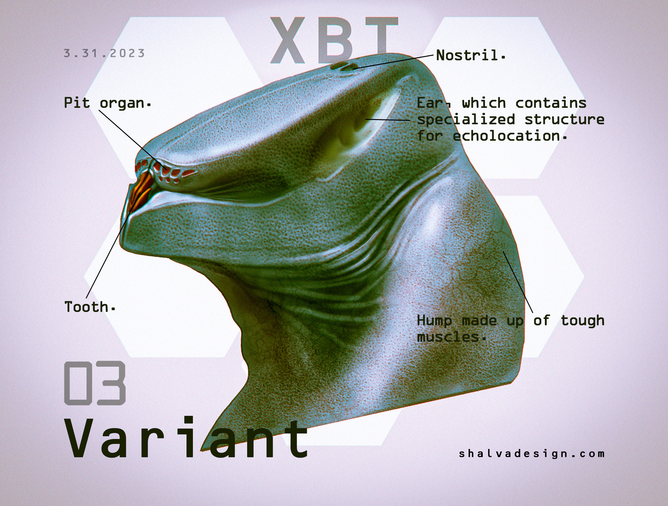 03, anatomy