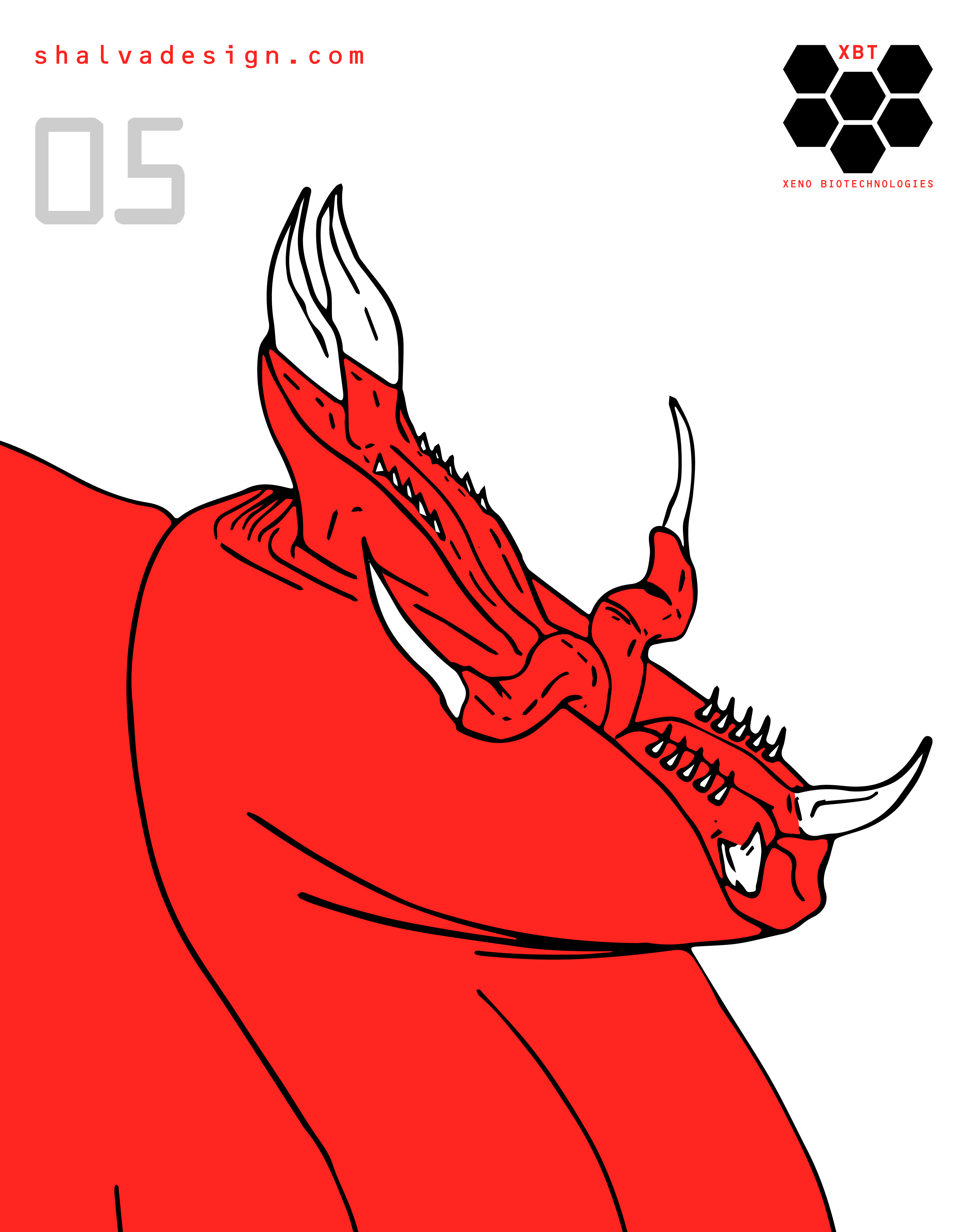 05