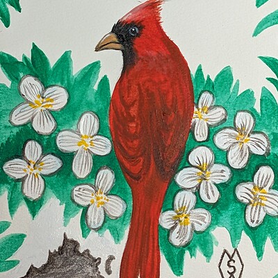 Indiana state bird and flower, the cardinal and peony by Matt Starr
