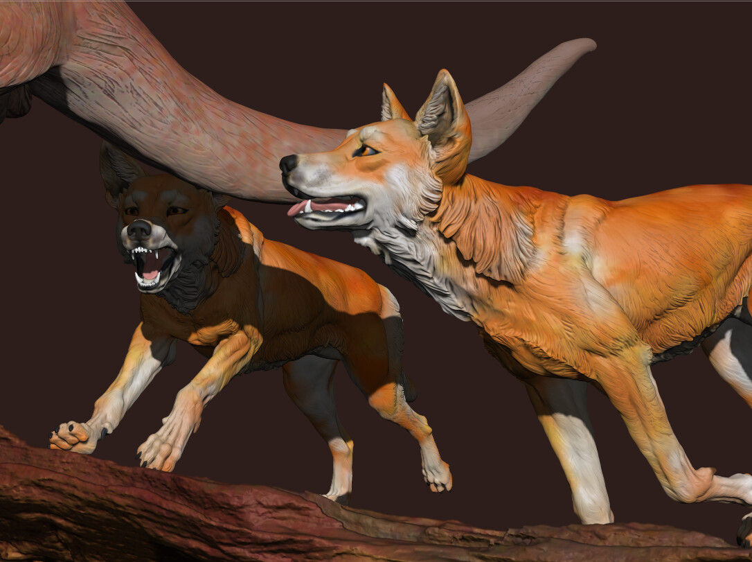 ArtStation Dingoes vs Red Kangaroo