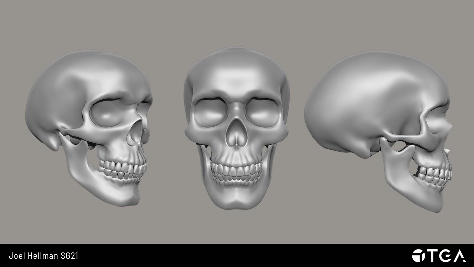 The second assignment during an advanced sculpting course. We were tasked with creating a human skull, as close to reference as possible. I'm really satisfied with the result, and have since used the sculpt in various other projects. 