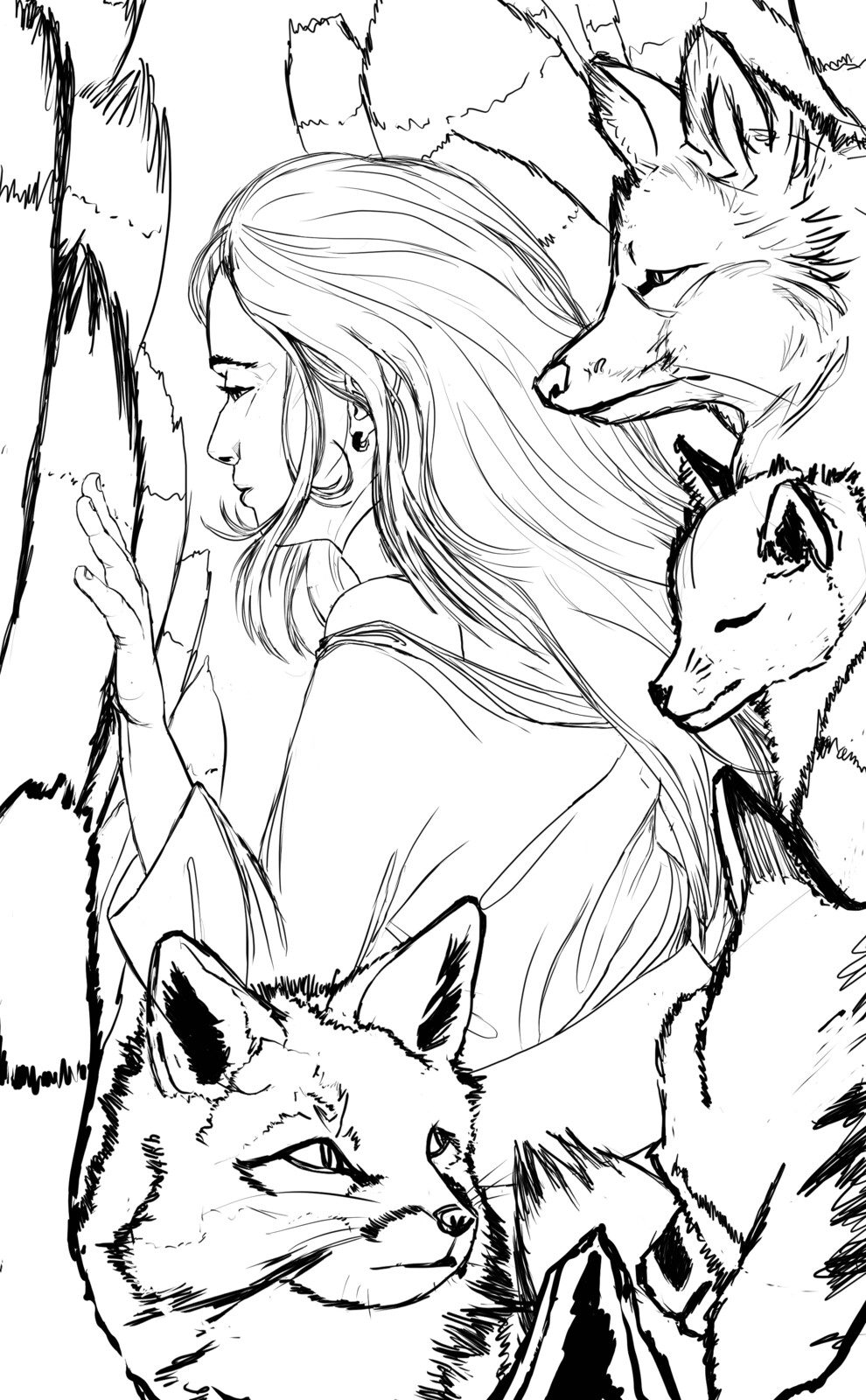 sketch