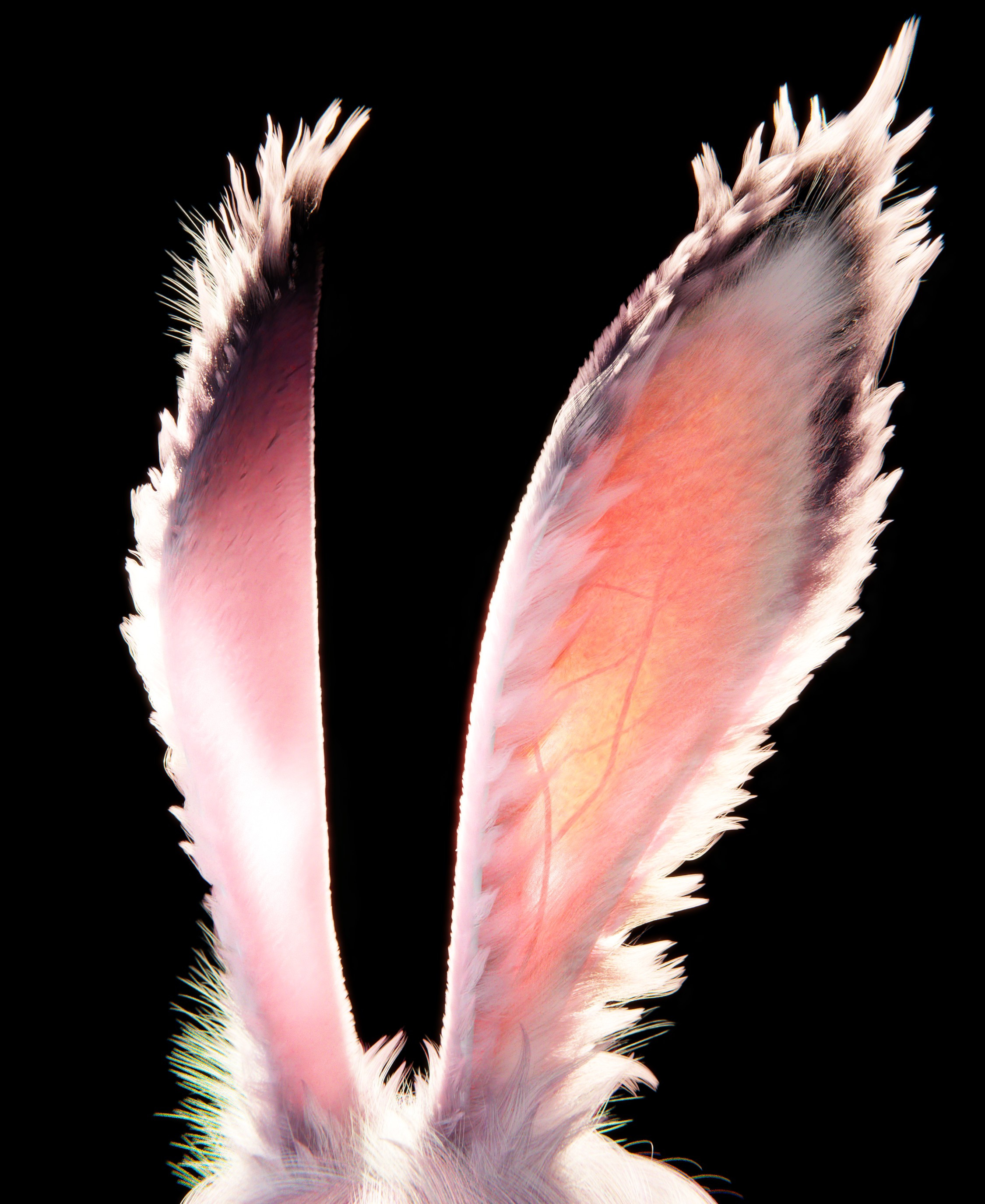 The sss on the ears is a bit strong but I like the effect it gives that way.