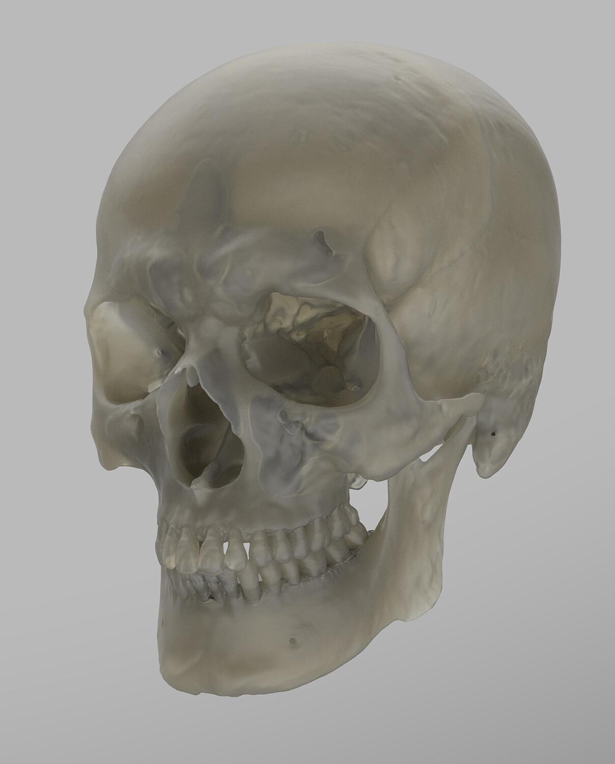 Generic male skull wip