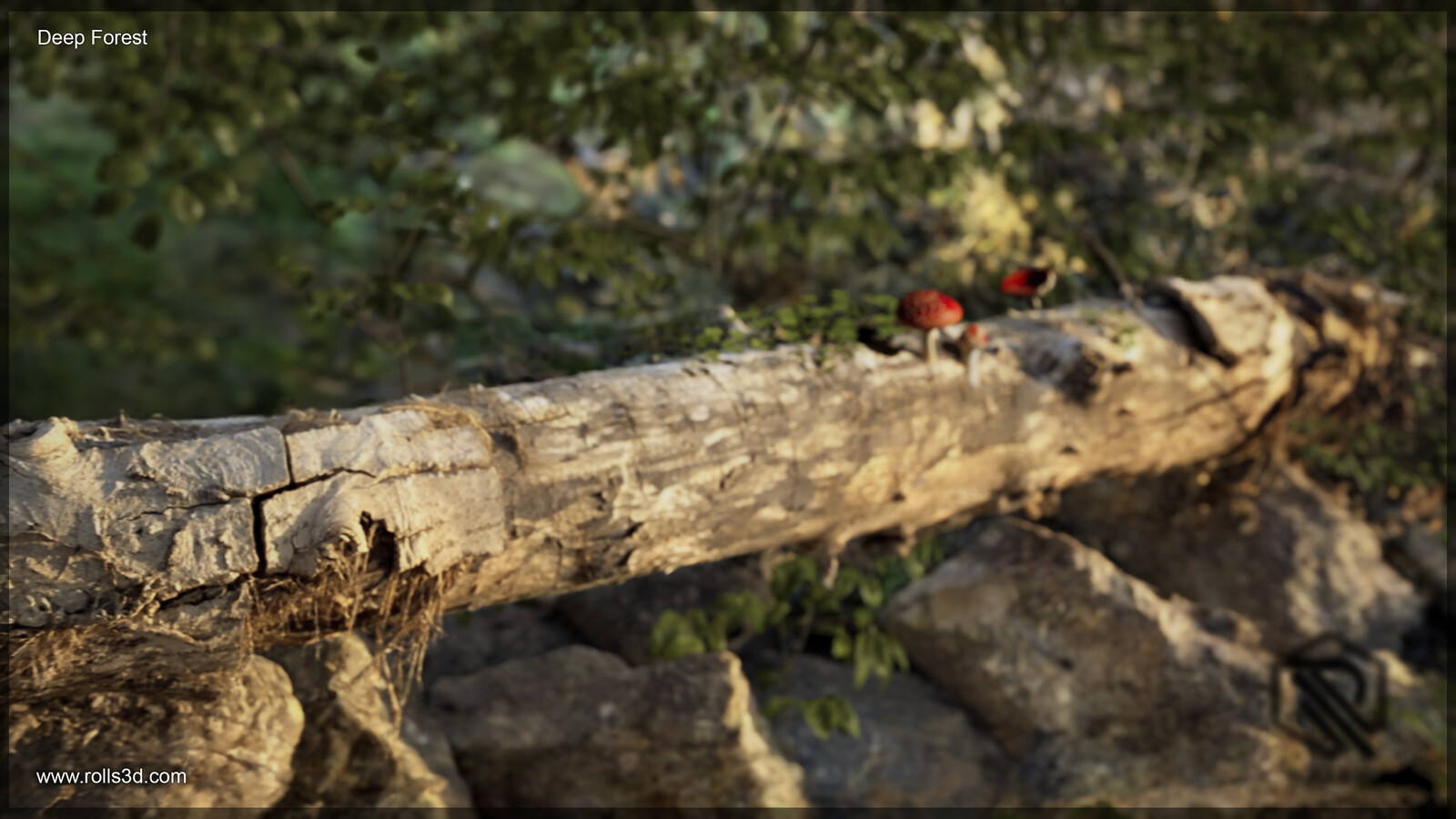 3D Deep Forest
Mixture between different photogrammetry techniques
Rendered with Unreal Engine
By Rolls3D