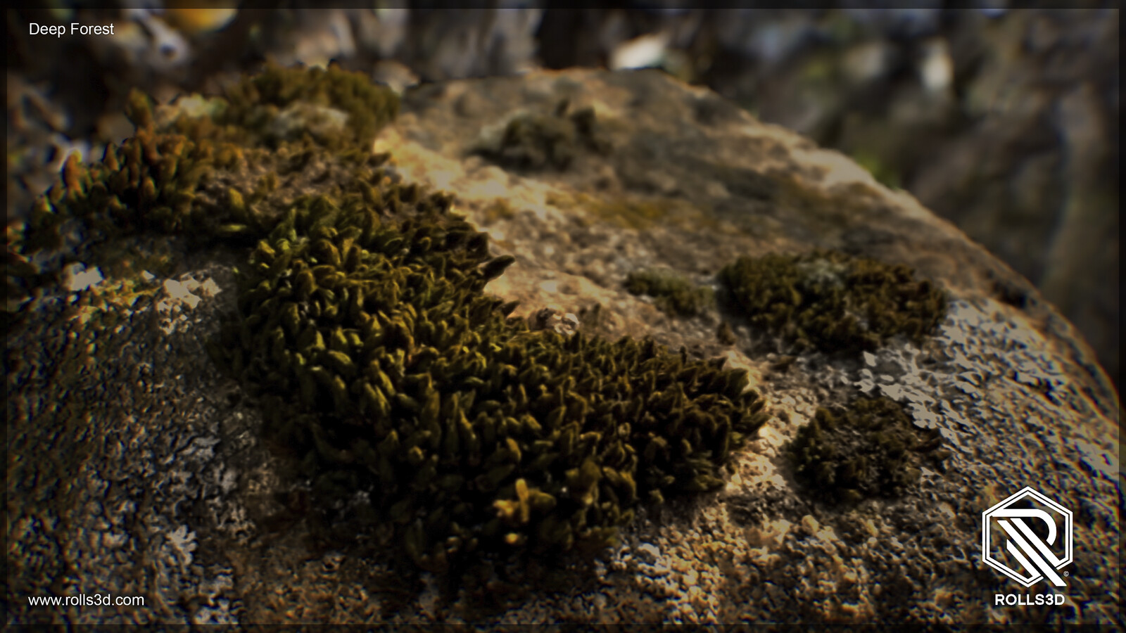 3D Deep Forest
Mixture between different photogrammetry techniques
Rendered with Unreal Engine
By Rolls3D