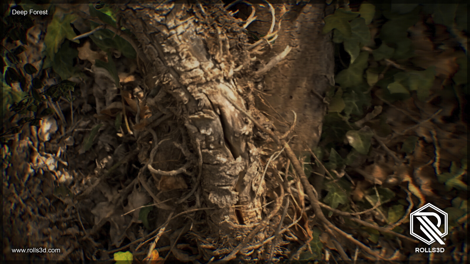 3D Deep Forest
Mixture between different photogrammetry techniques
Rendered with Unreal Engine
By Rolls3D