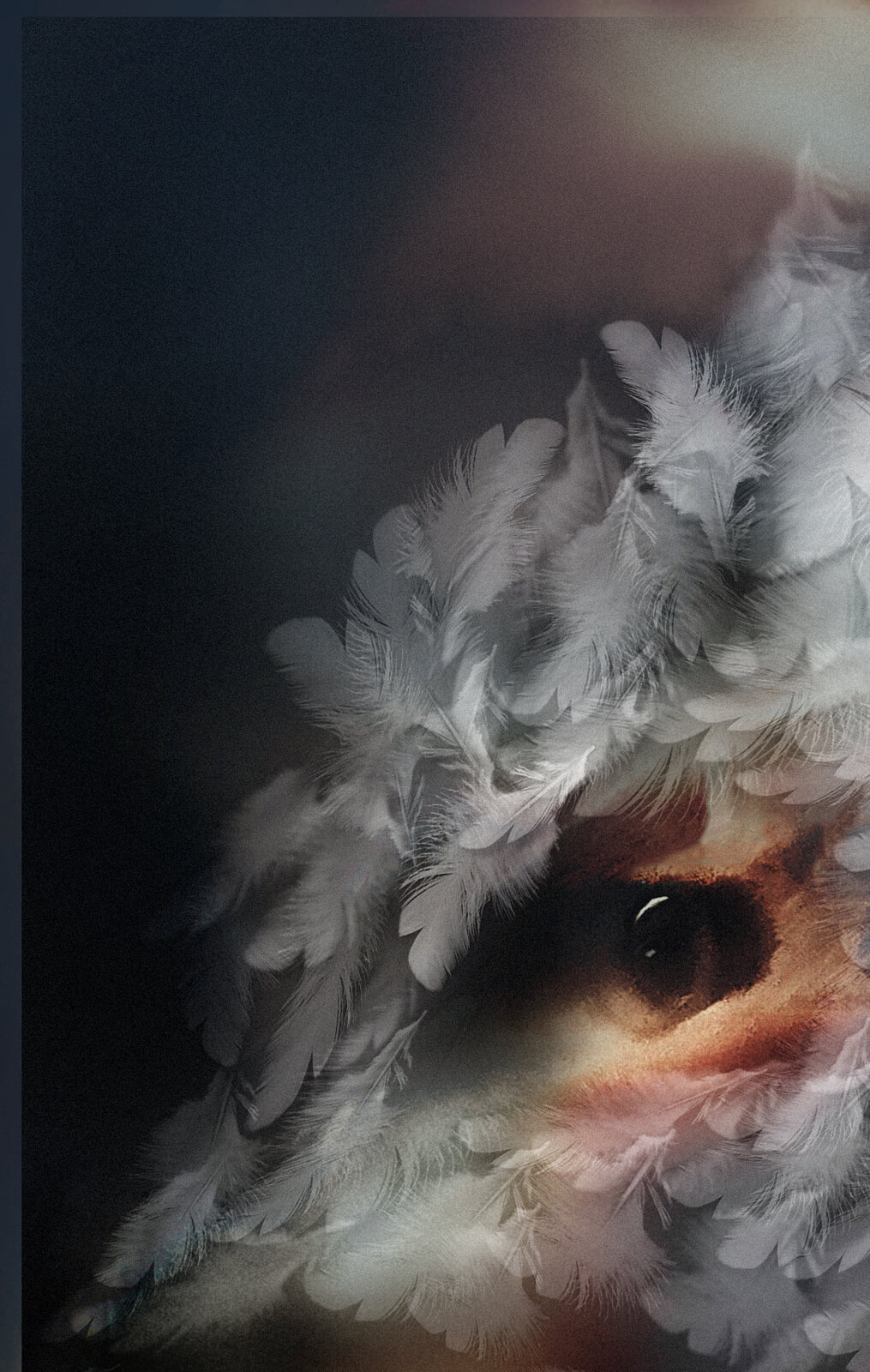 Lenin Juk fox in the chicken coop