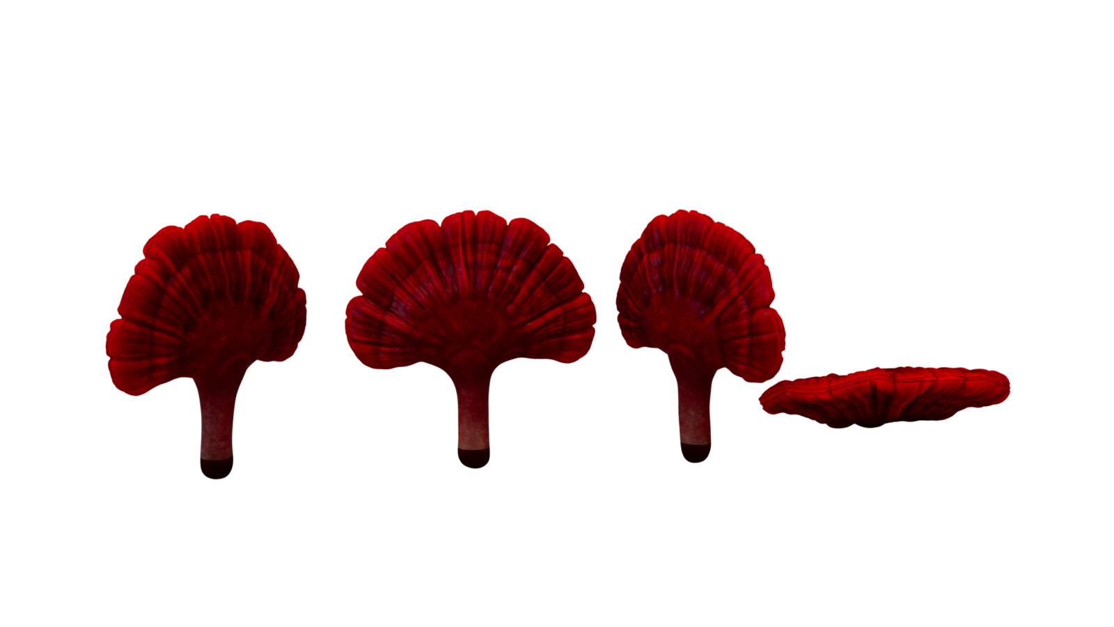 Coraux rouge qui envahissent l'environnement.