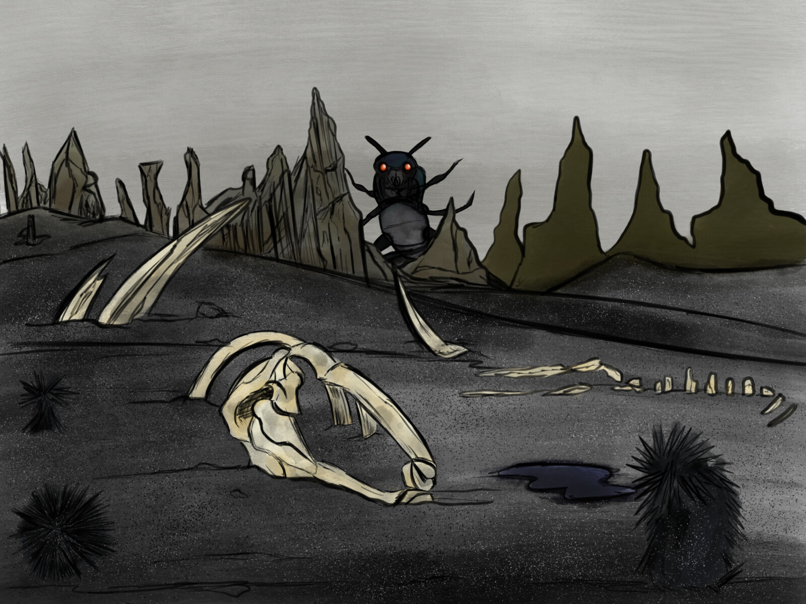 Black Sand Concept