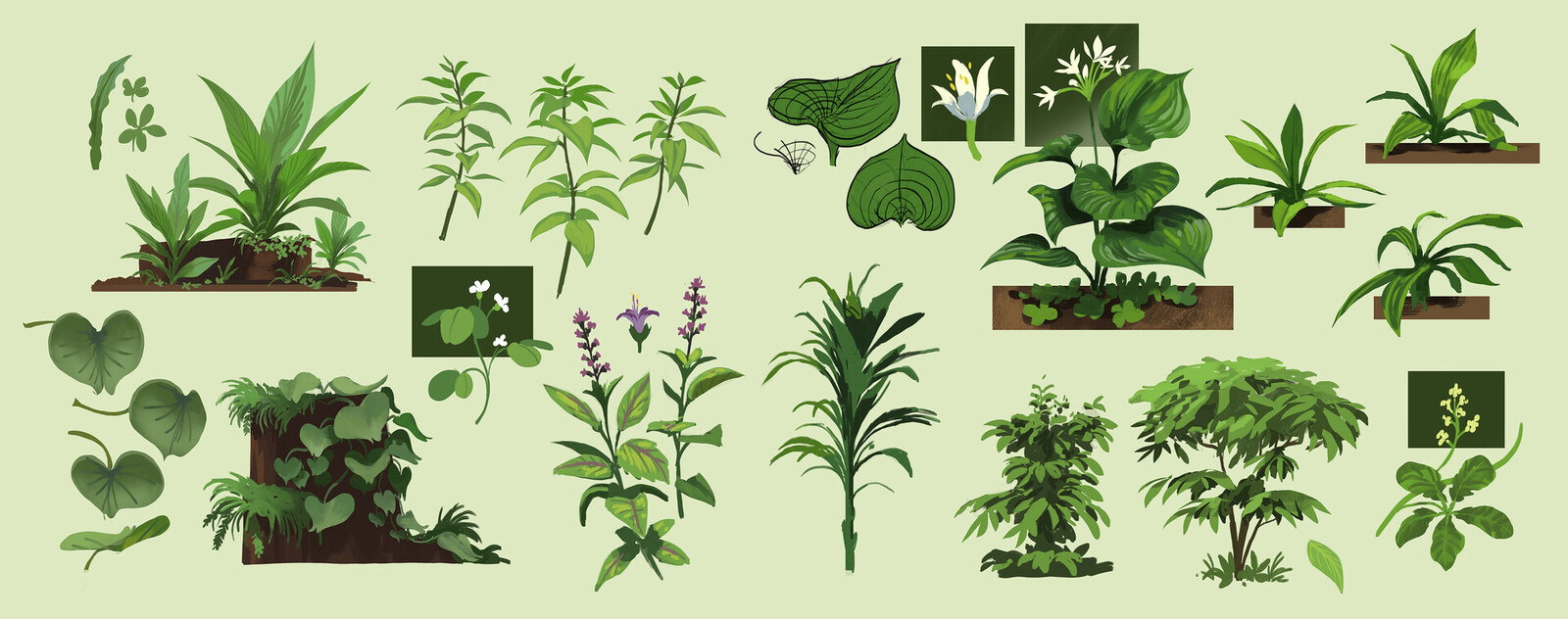 Plants 2