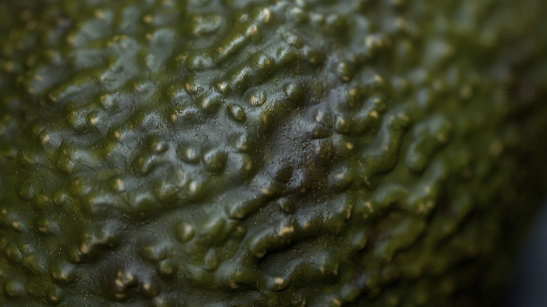 Food Texture Example 15