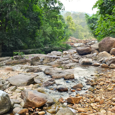Akshath rao forest river stream