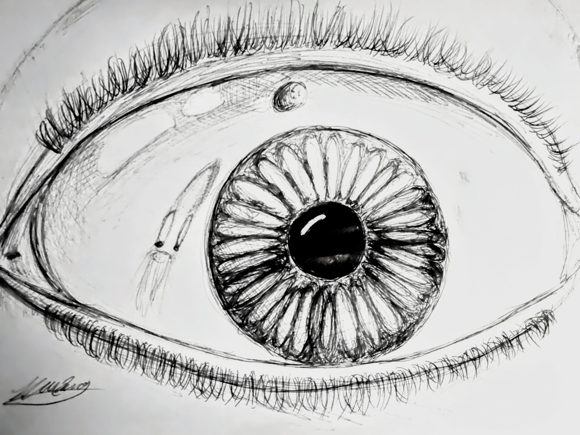 ArtStation Starry Eyed