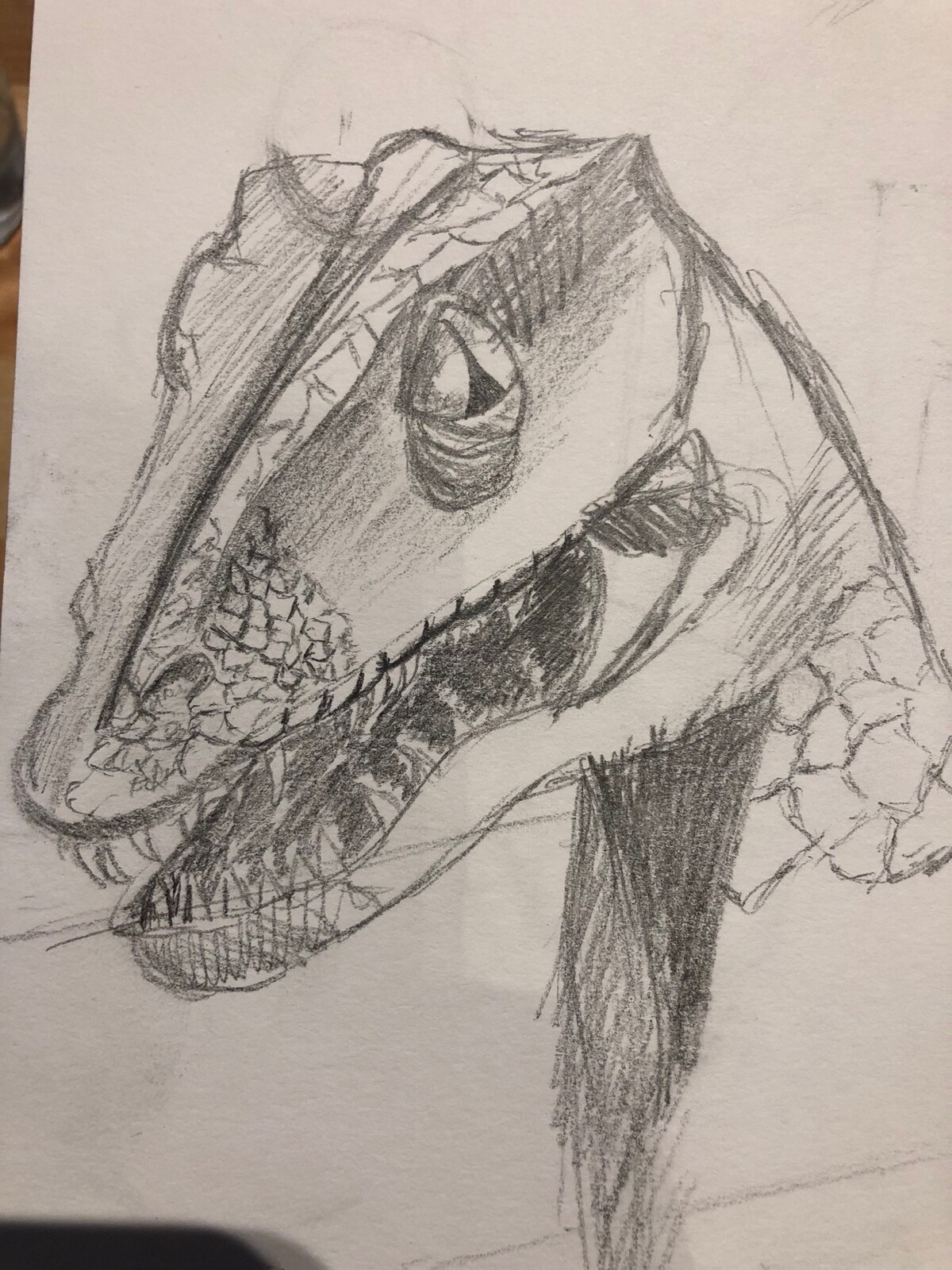 Dino Drawing