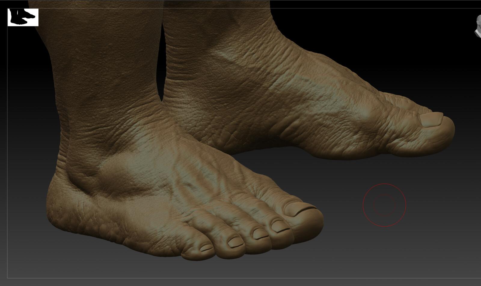 Zbrush