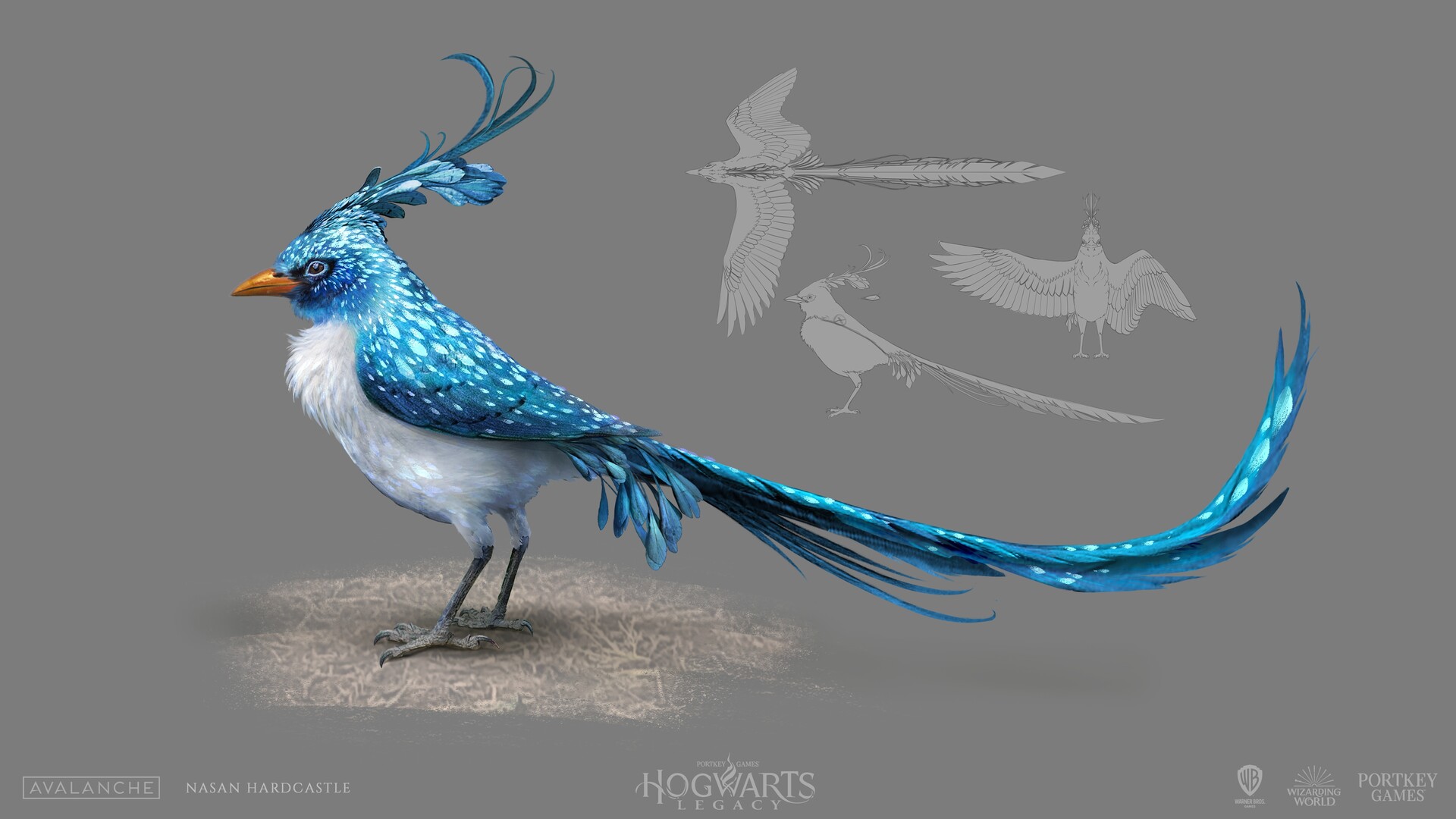 Nasan Hardcastle - Hogwarts Legacy: Creatures Nasan Hardcastle - Hogwarts Legacy: Creatures