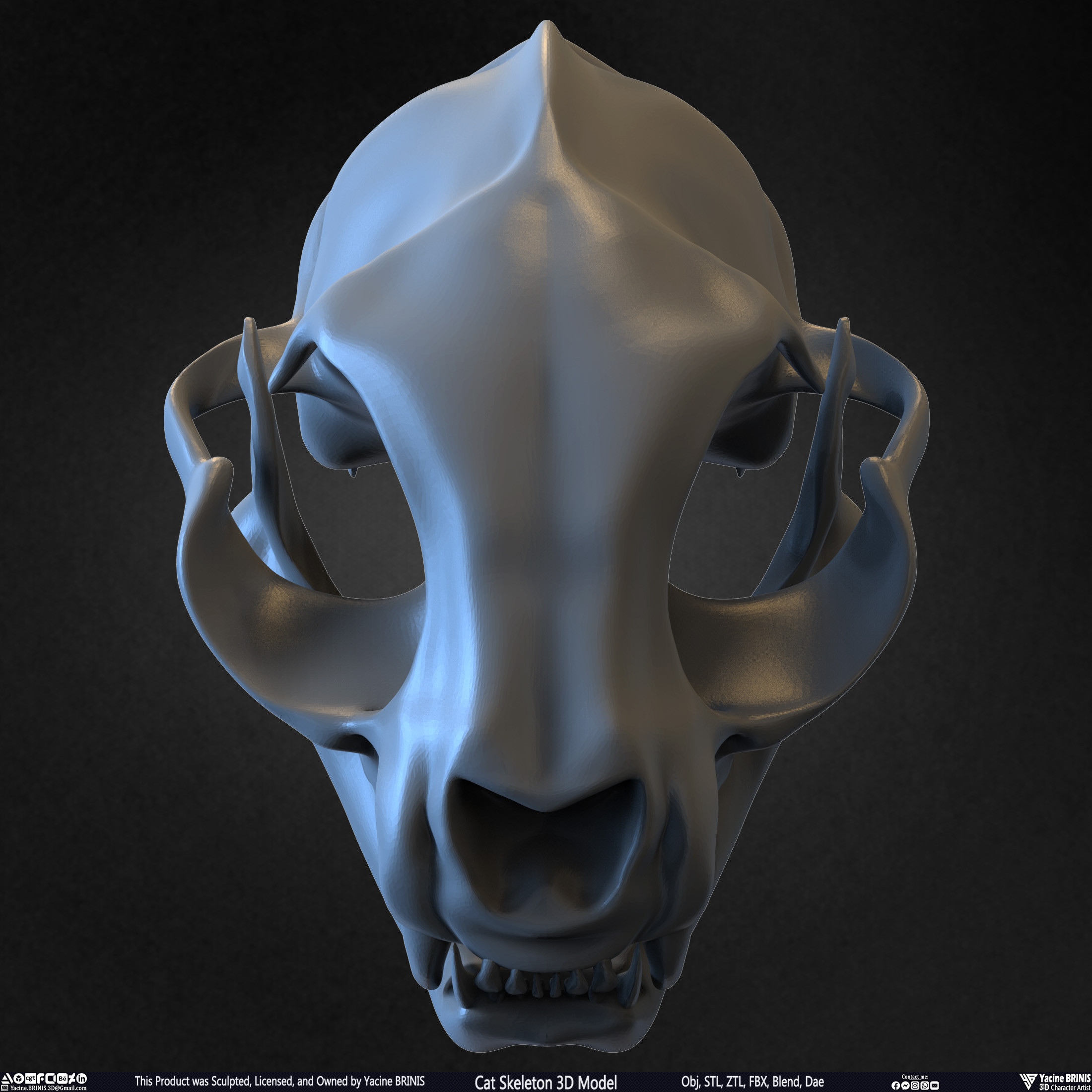 Highly Detailed Cat Skeleton 3D Model Sculpted by Yacine BRINIS Set 030