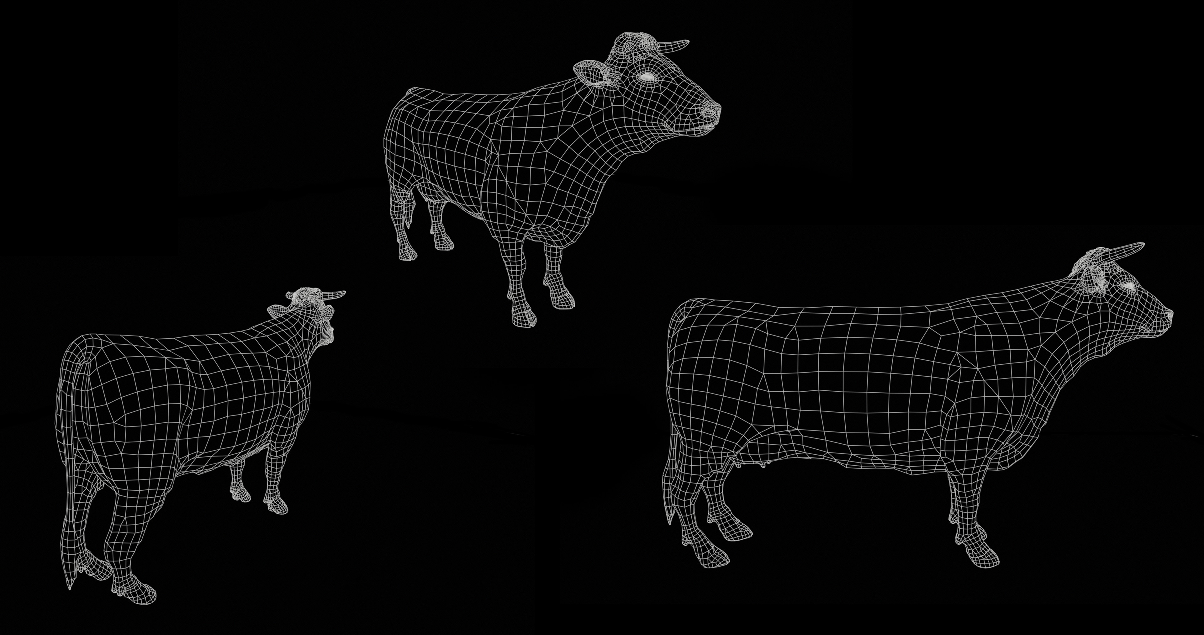 Wireframe - 16658 Tris