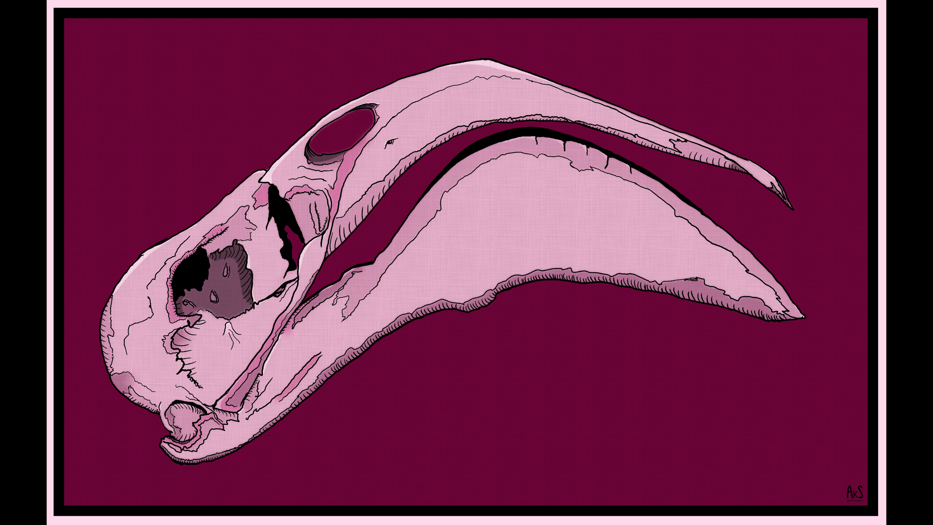 Amy katie scott flamingo skull