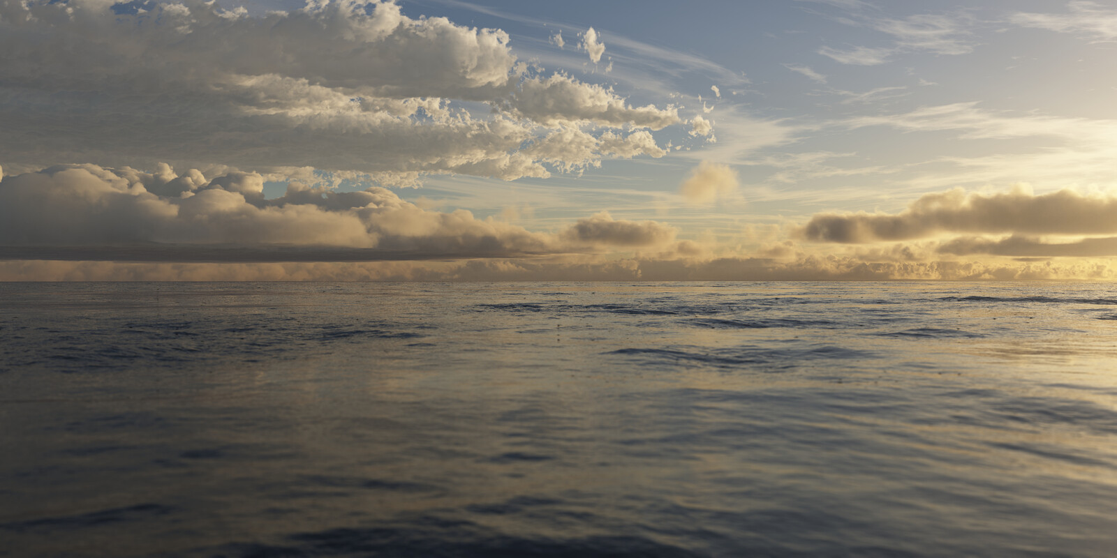 Approaching Storm