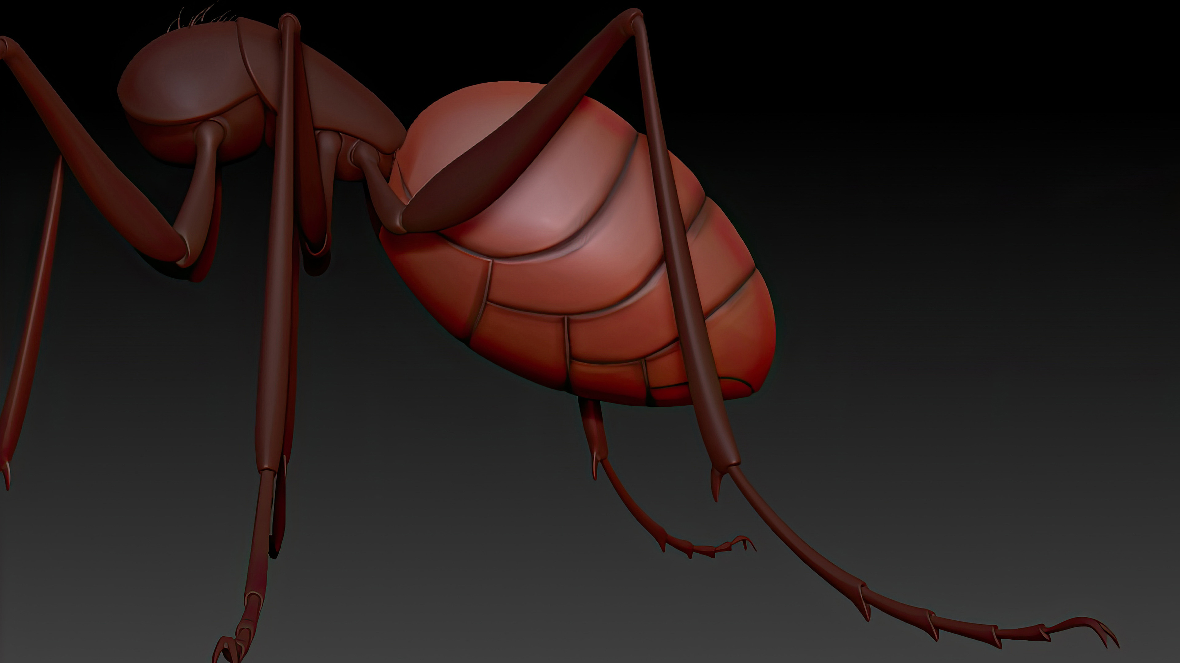 Sculpting - Work In Progress