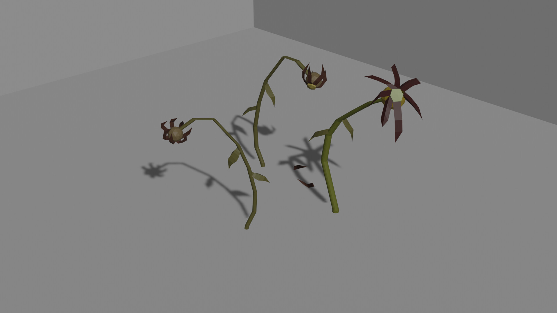ArtStation Dead Flowers (stages)
