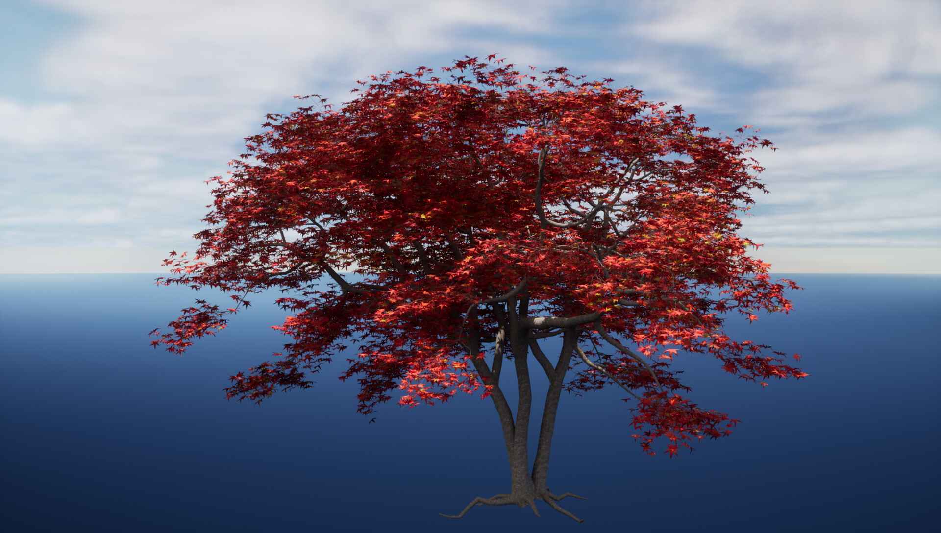 Maple tree games hot sale