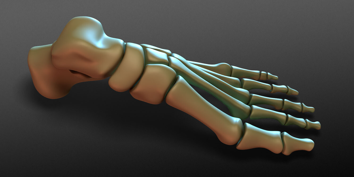 dinoreplicas-3d-model-works-foot-bones-render-01a.jpg