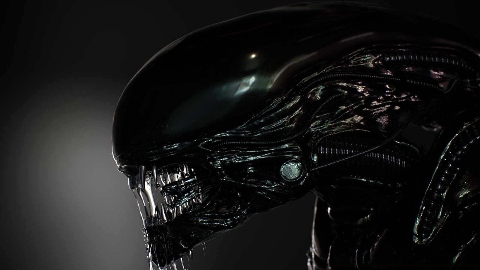 Xenomorph Alien