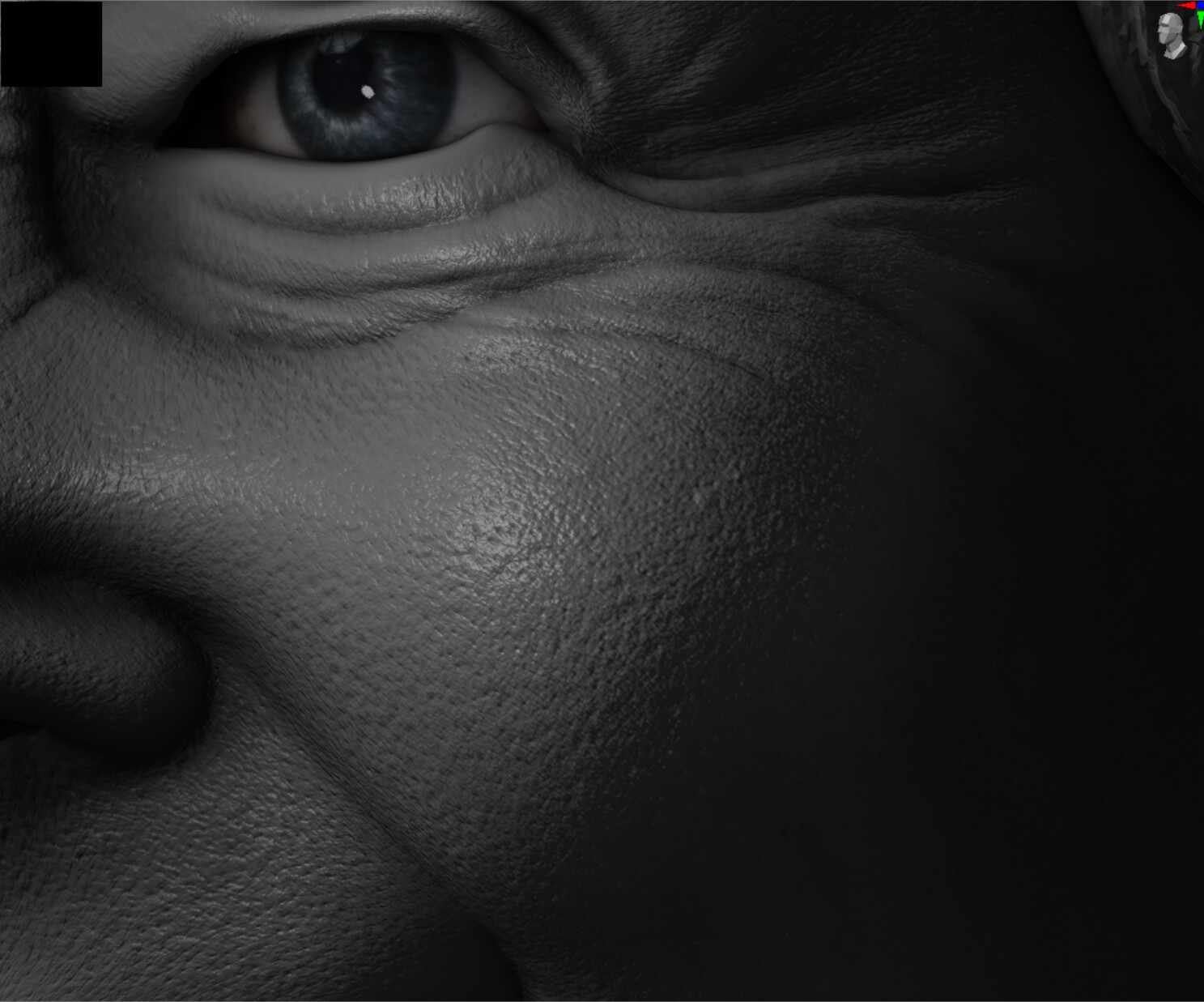 This Mesh allows working with High Resolution Skin Details at SubD 8 In ZBrush - 44M Polys.