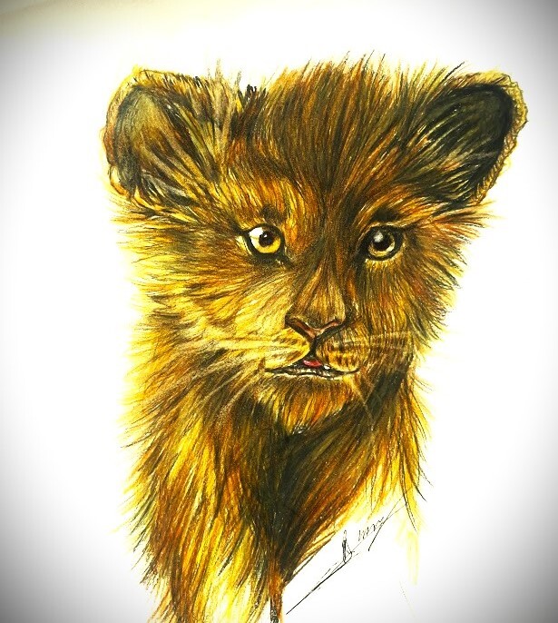Lion king sketch stock illustration. Illustration of mammal - 67370574