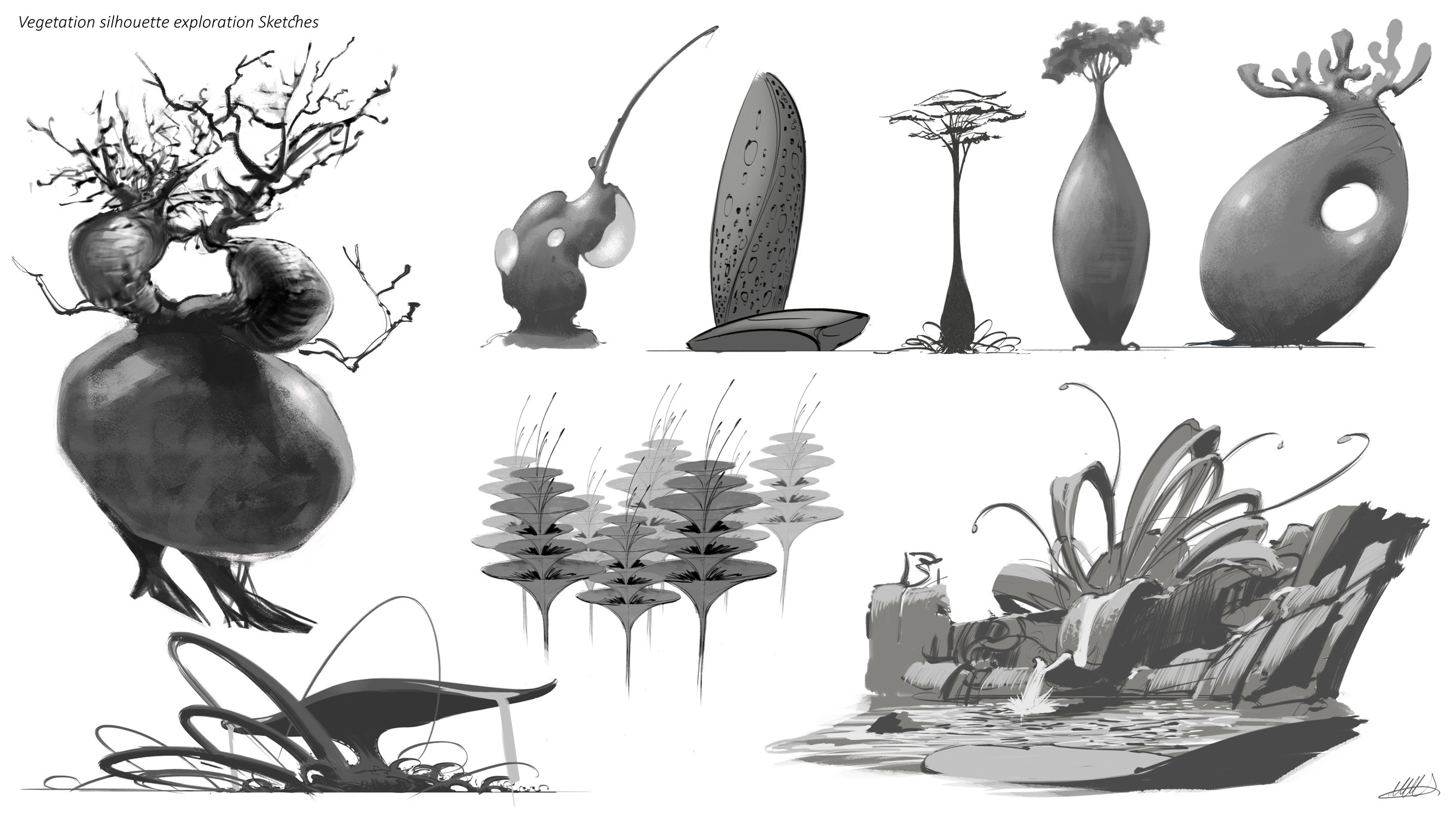 Vegetation silhouette studies