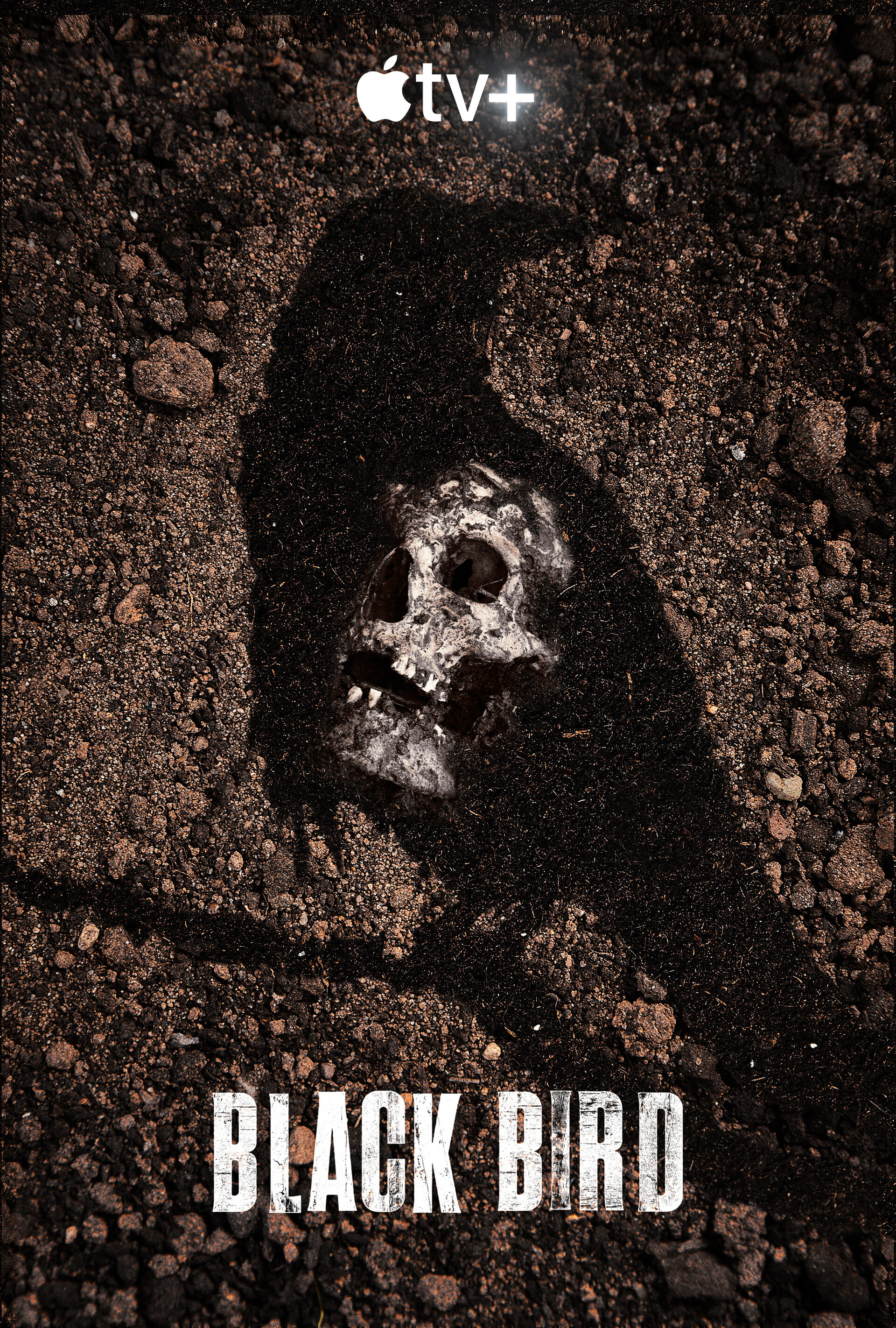 Black Bird