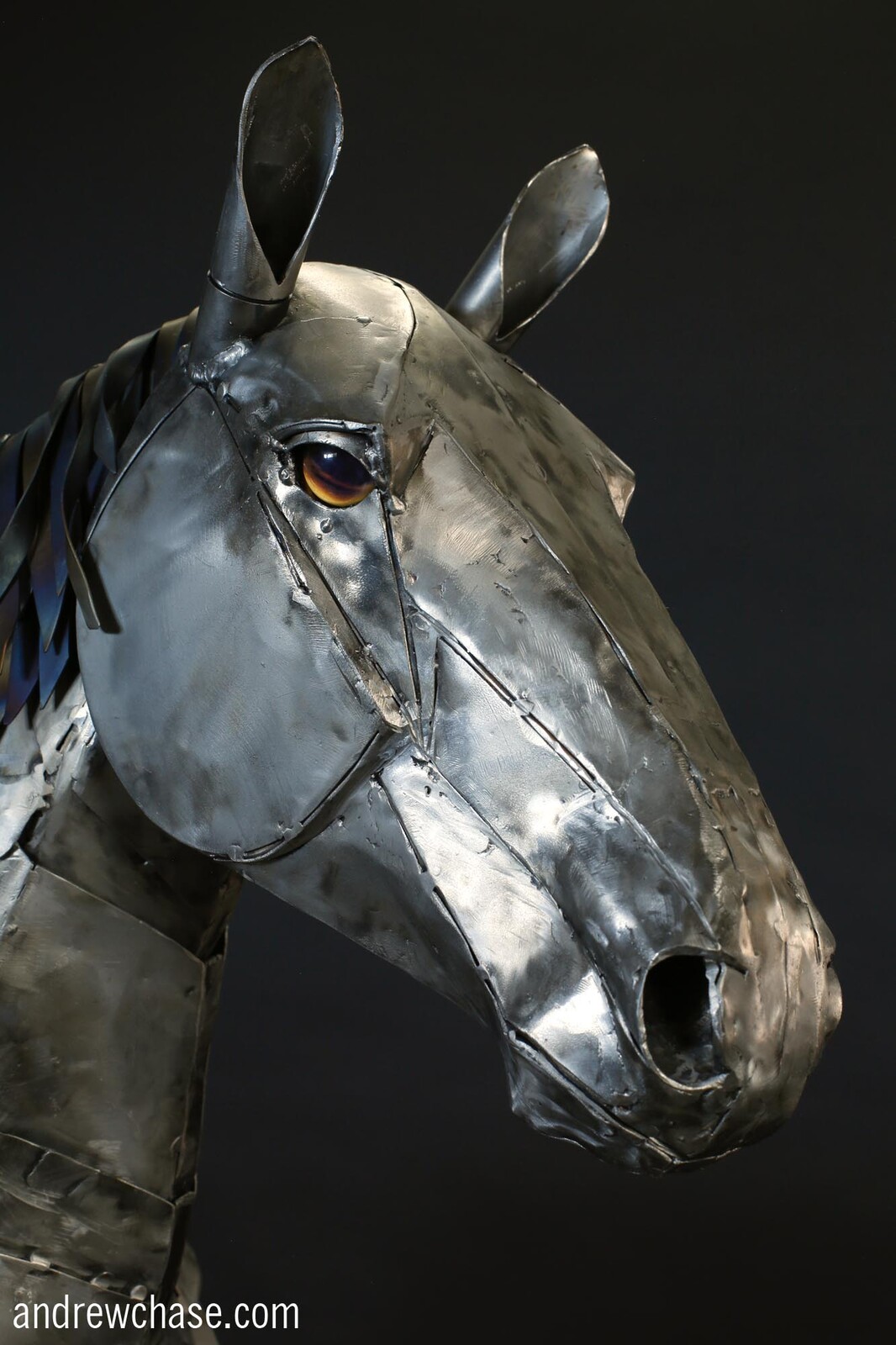 Clydesdale Horse closeup 1