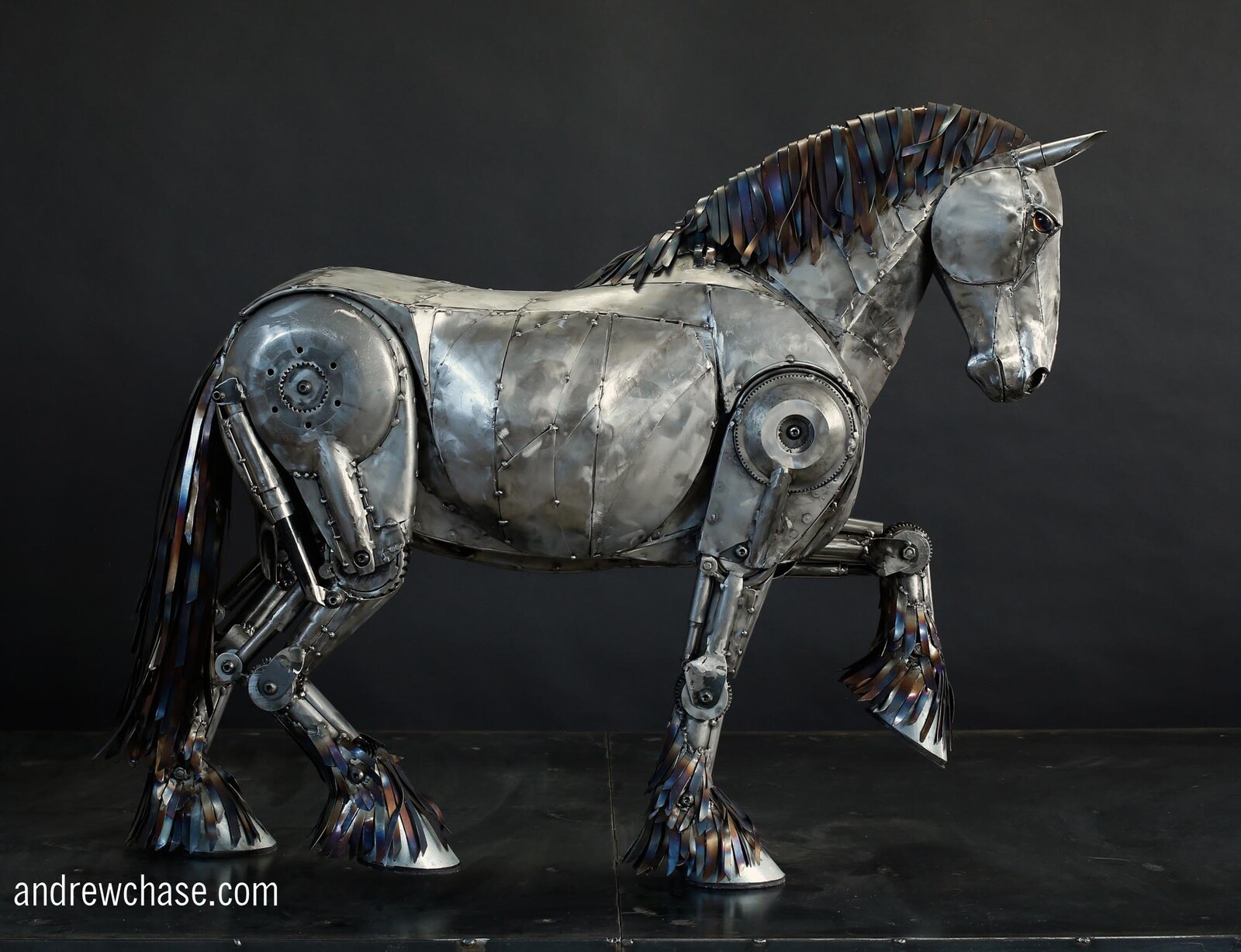 Clydesdale Horse side view - trotting