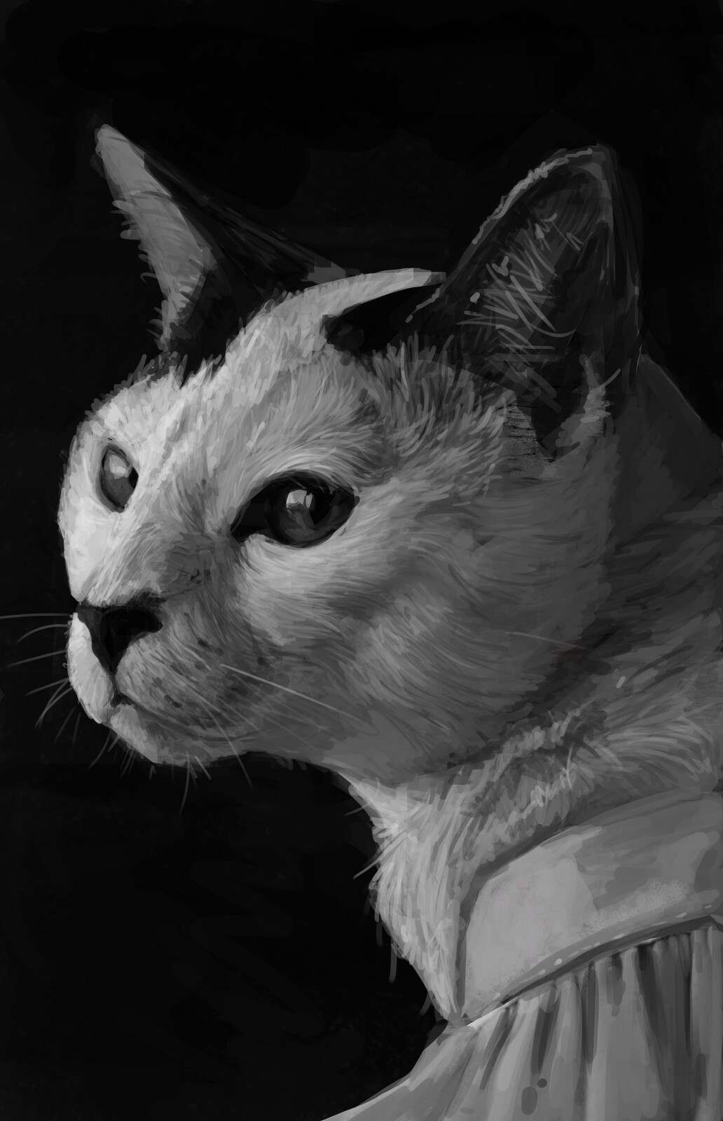 Digital Studies