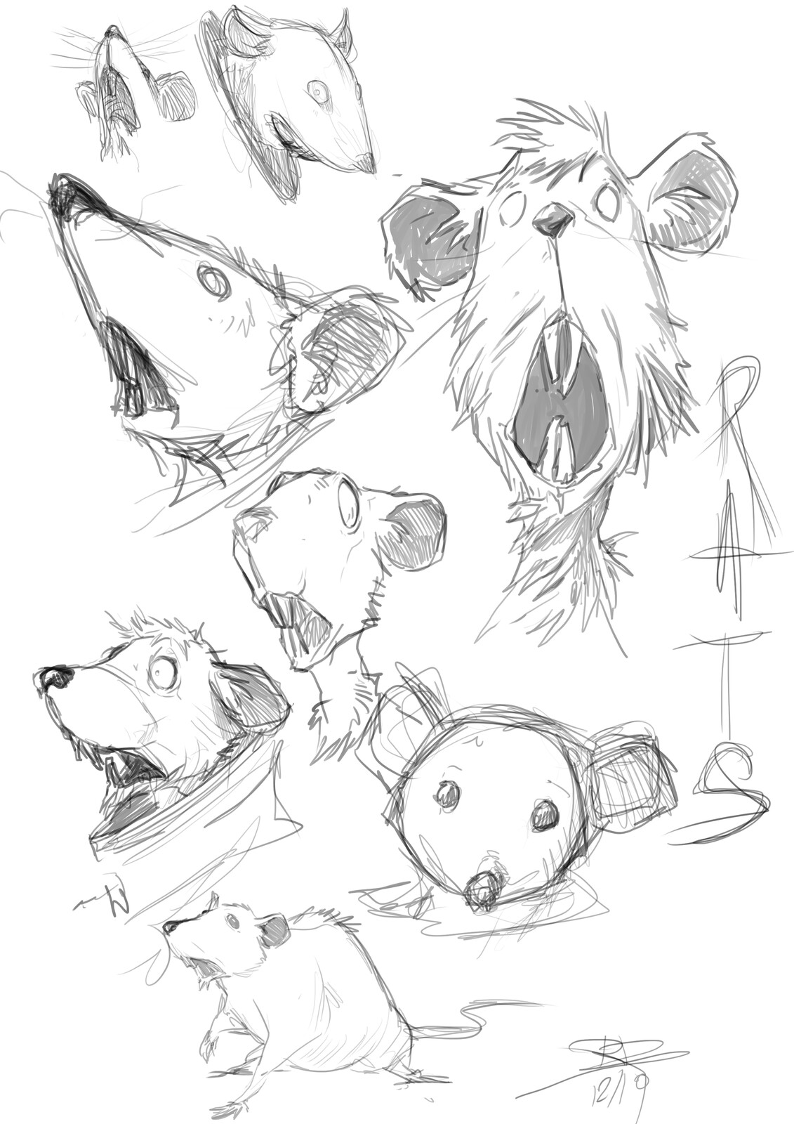 Croquis autour sur le Rat.