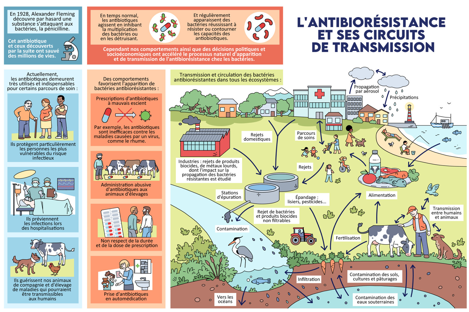 Antibiorésistance - Commande pour l'Université de Lyon+CNRS
