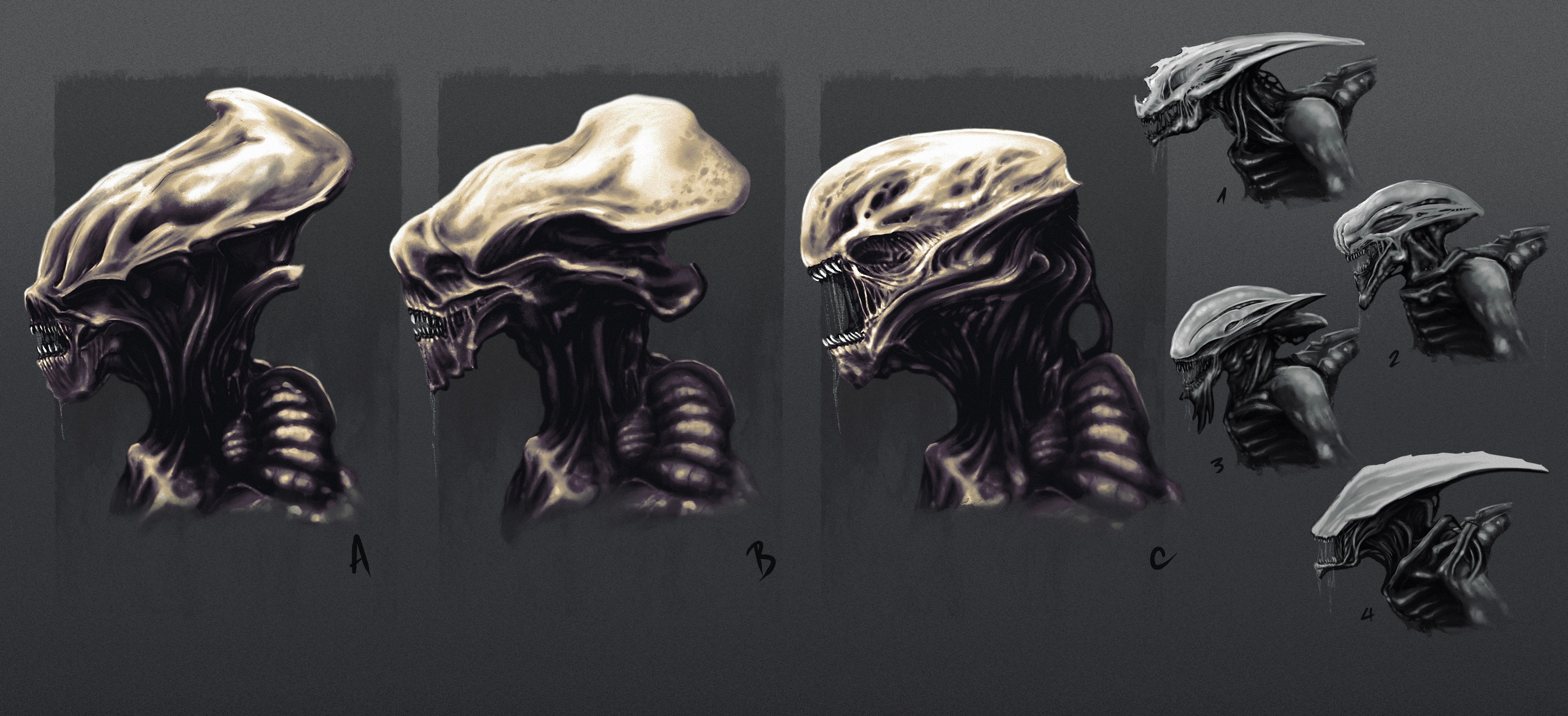 Headshape exploration.  I took the second one and mixed with the idea of external up and side nares of the third one. Maybe the protomorph is still blind and needs other senses to be reinforced